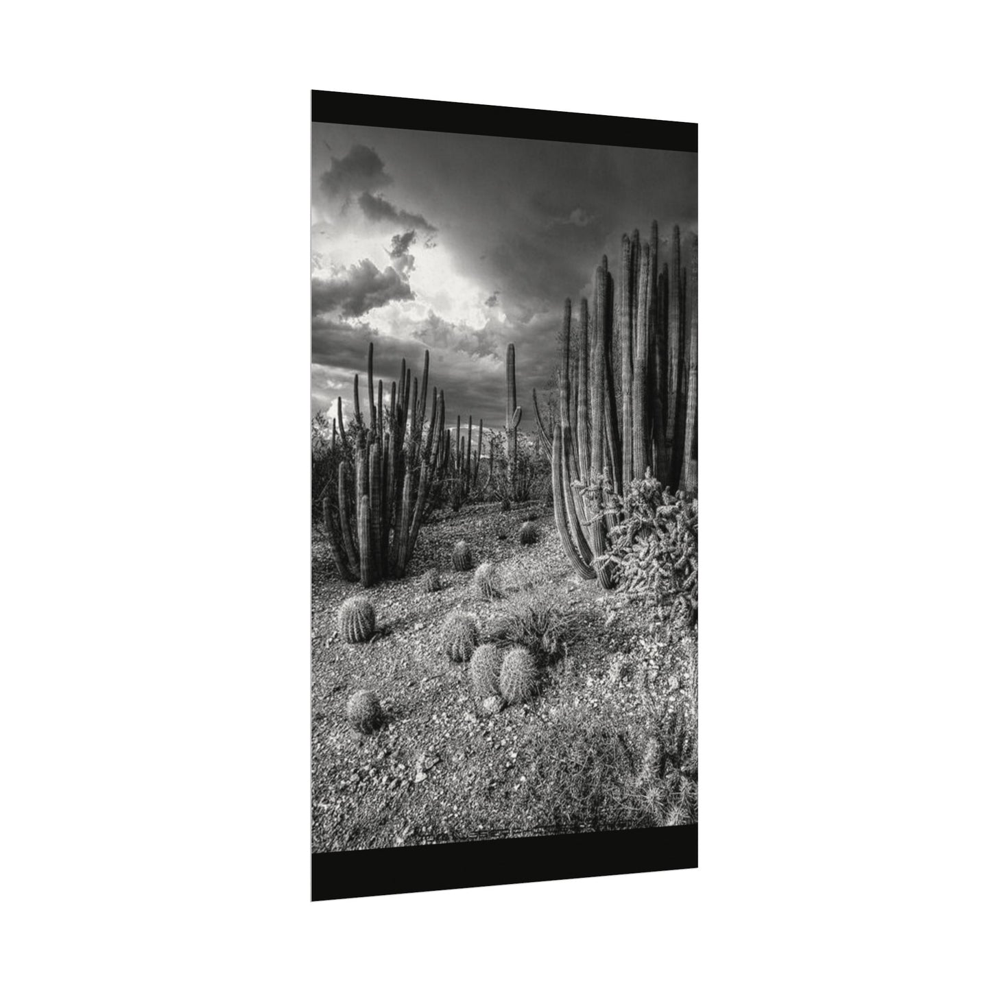 Desert Wastelands – Western Textured Watercolor Matte Posters