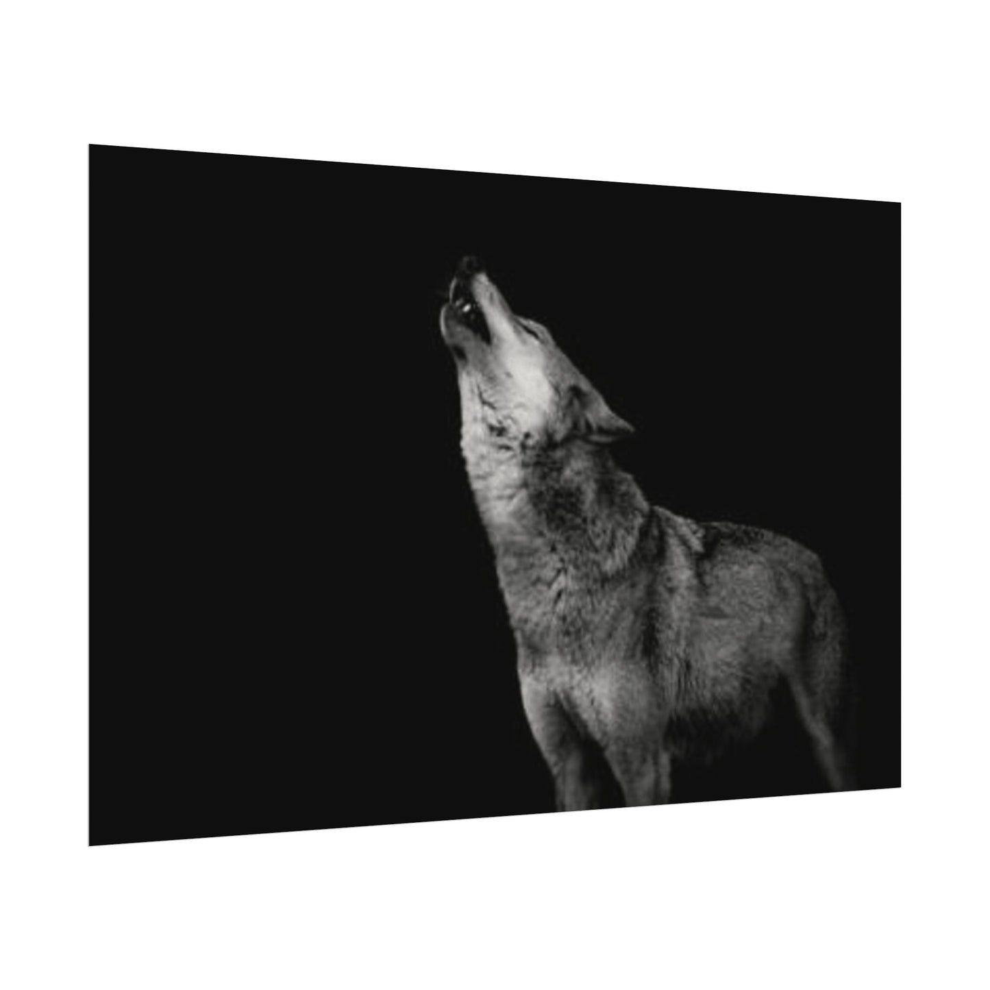 Howling At The Moon– Western Textured Watercolor Matte Posters