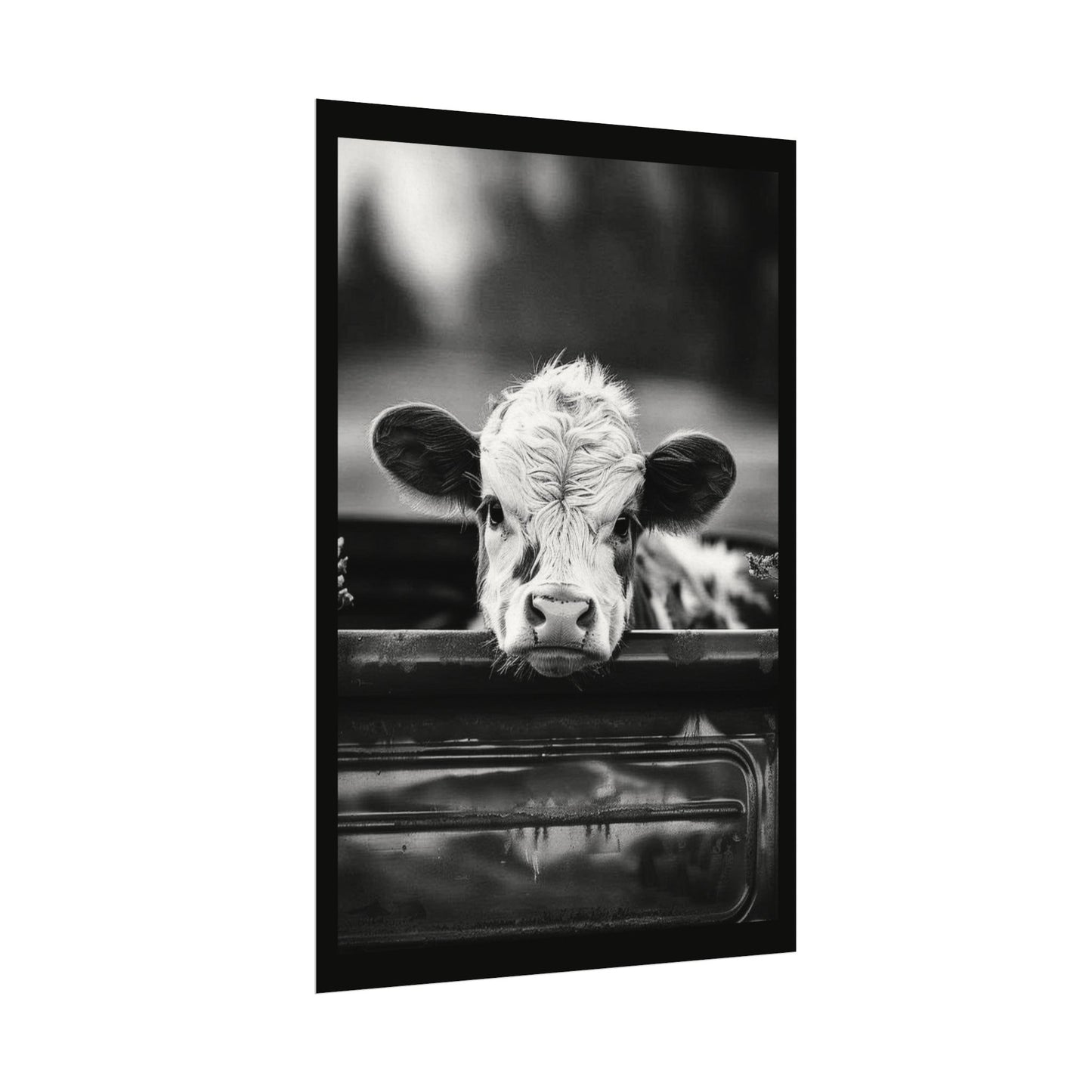 Back Seat Bovine – Western Textured Watercolor Matte Posters