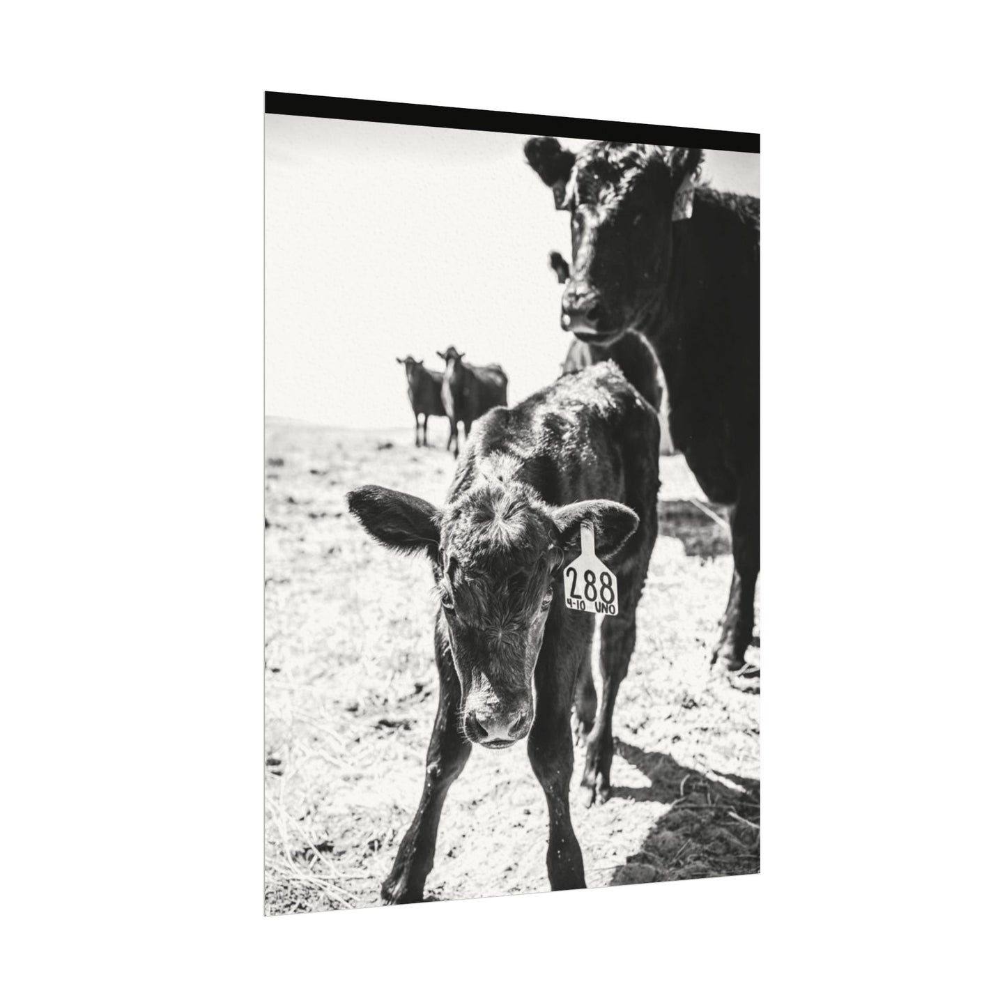 The Standing Legacy – Western Textured Watercolor Matte Posters