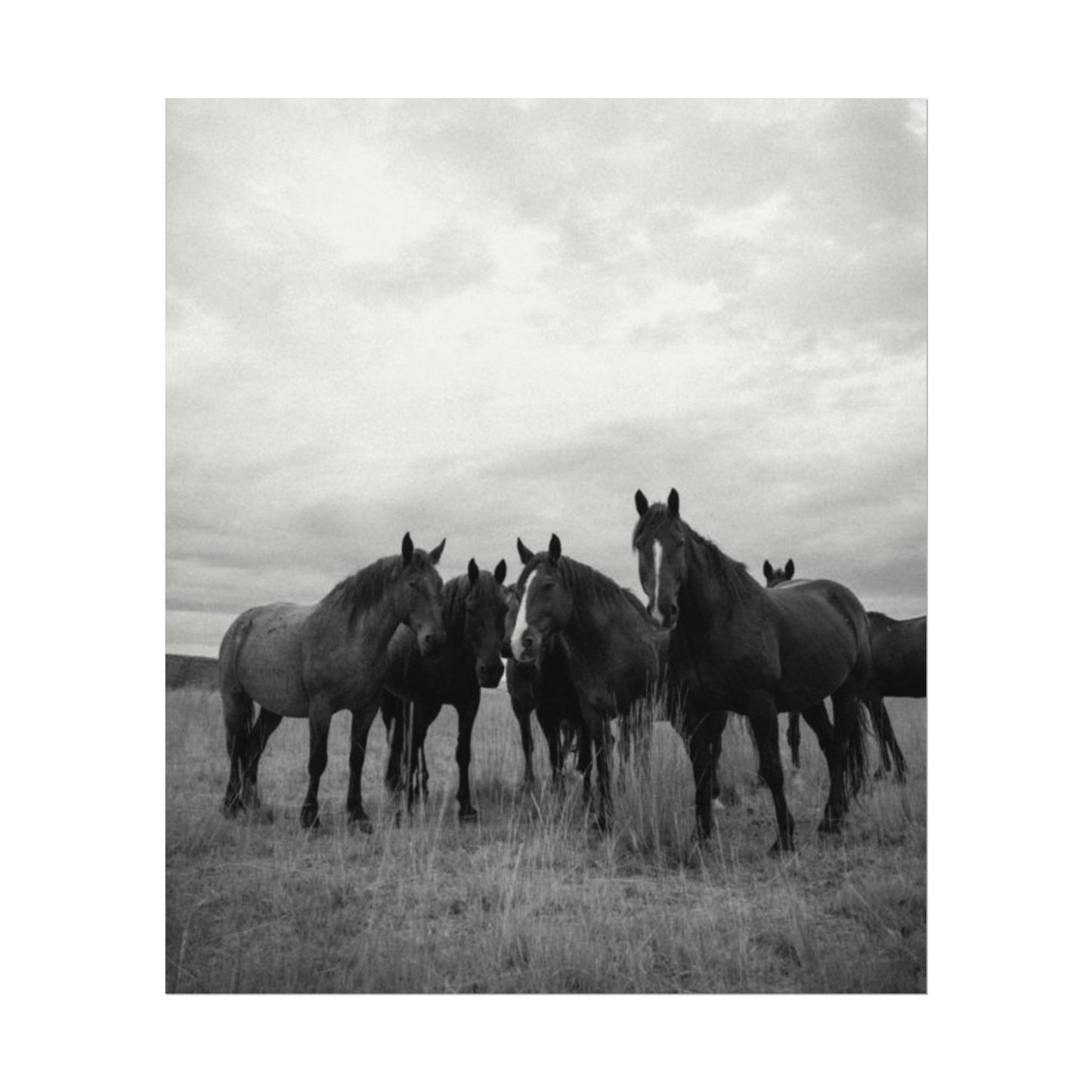 Unity In Numbers – Western Textured Watercolor Matte Posters