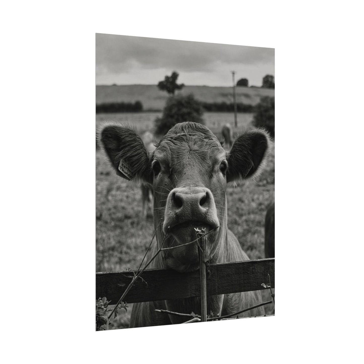 Rise & Shine – Western Textured Watercolor Matte Posters