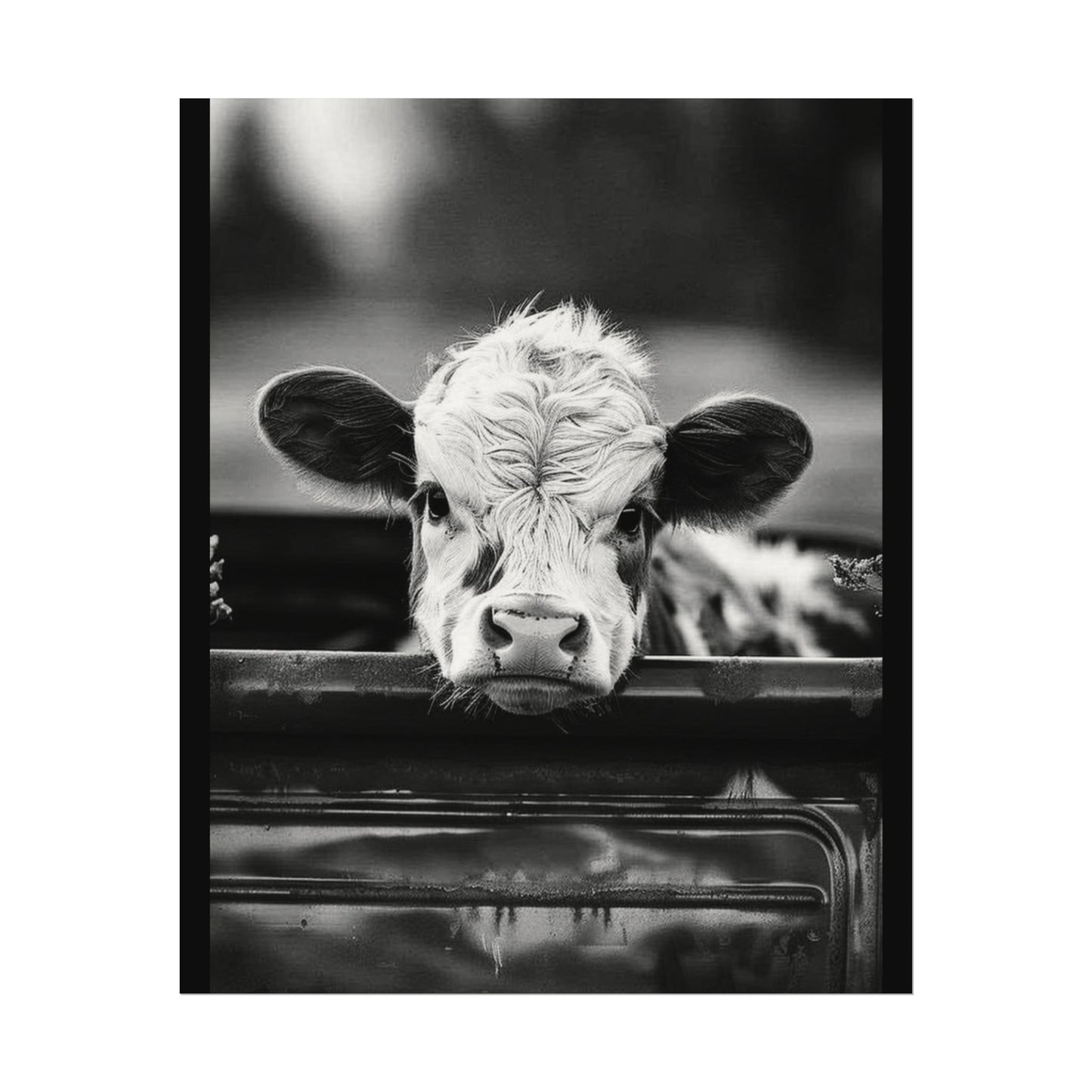 Back Seat Bovine – Western Textured Watercolor Matte Posters