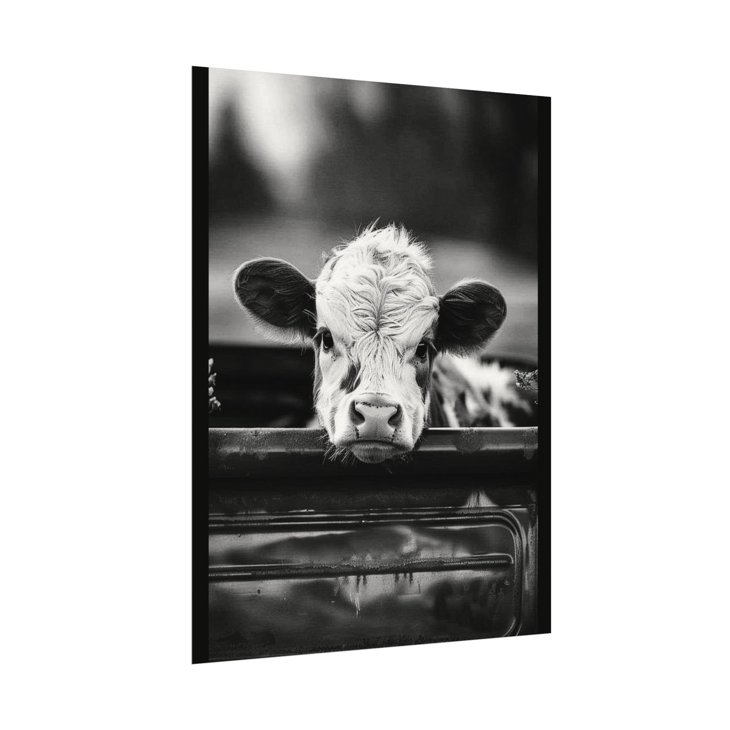Back Seat Bovine – Western Textured Watercolor Matte Posters