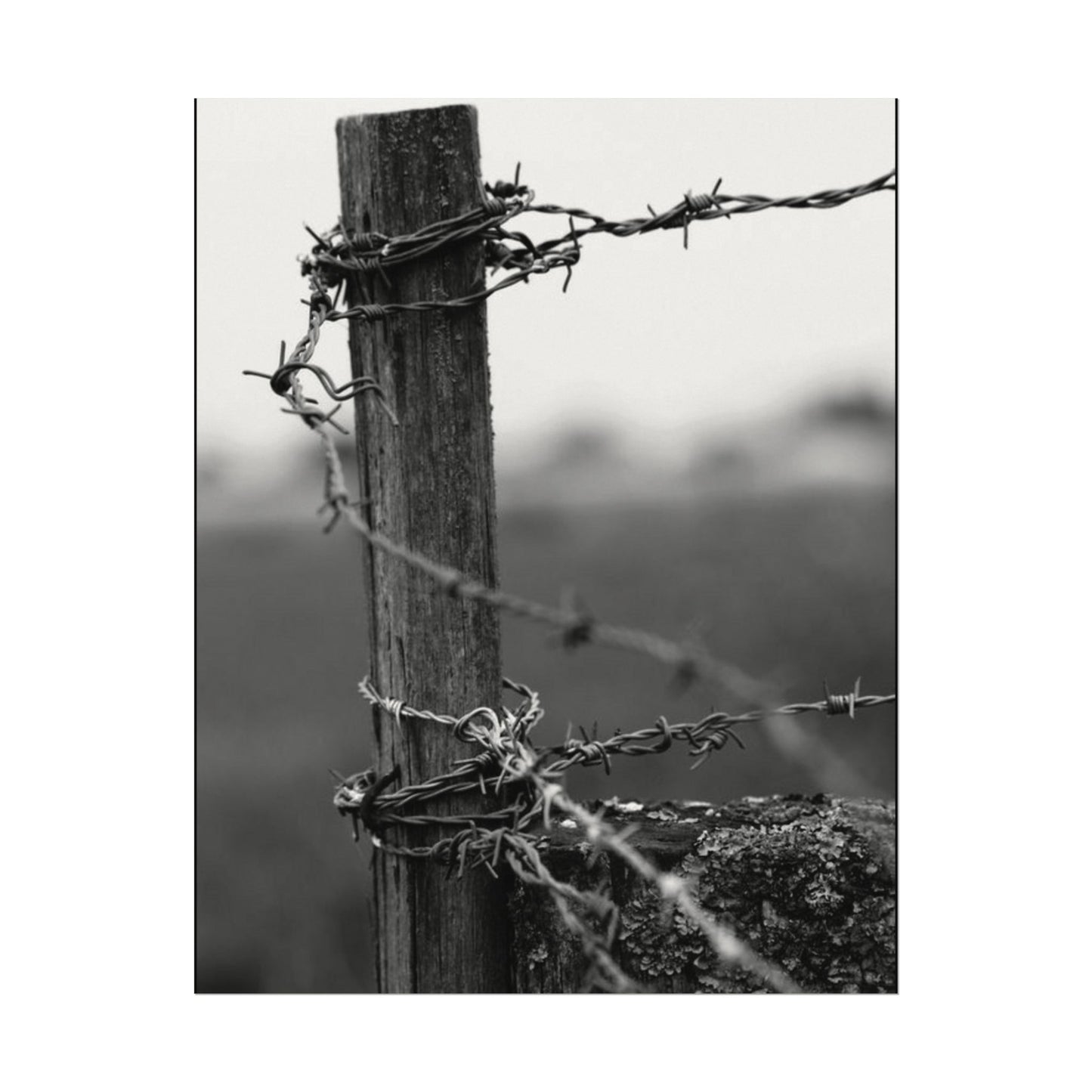 Tough As Nails – Western Textured Watercolor Matte Posters