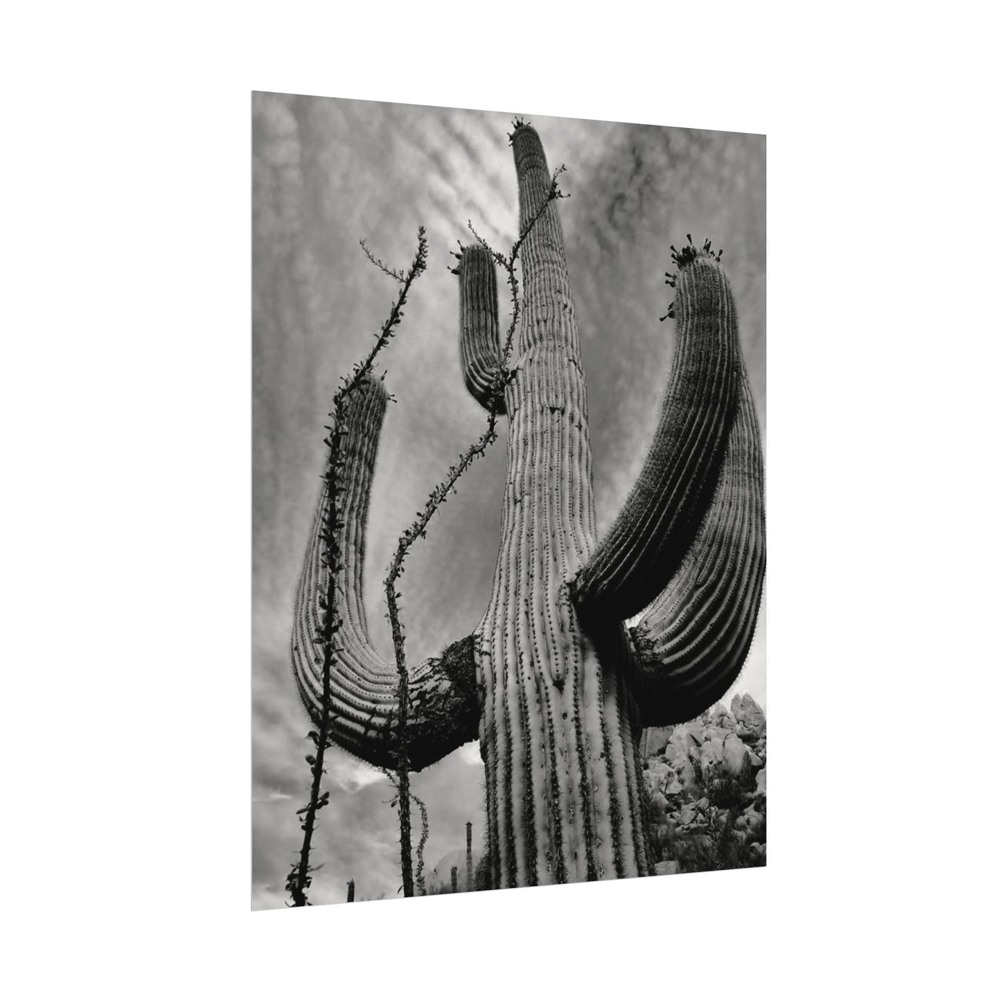 Desert Heights – Western Textured Watercolor Matte Posters