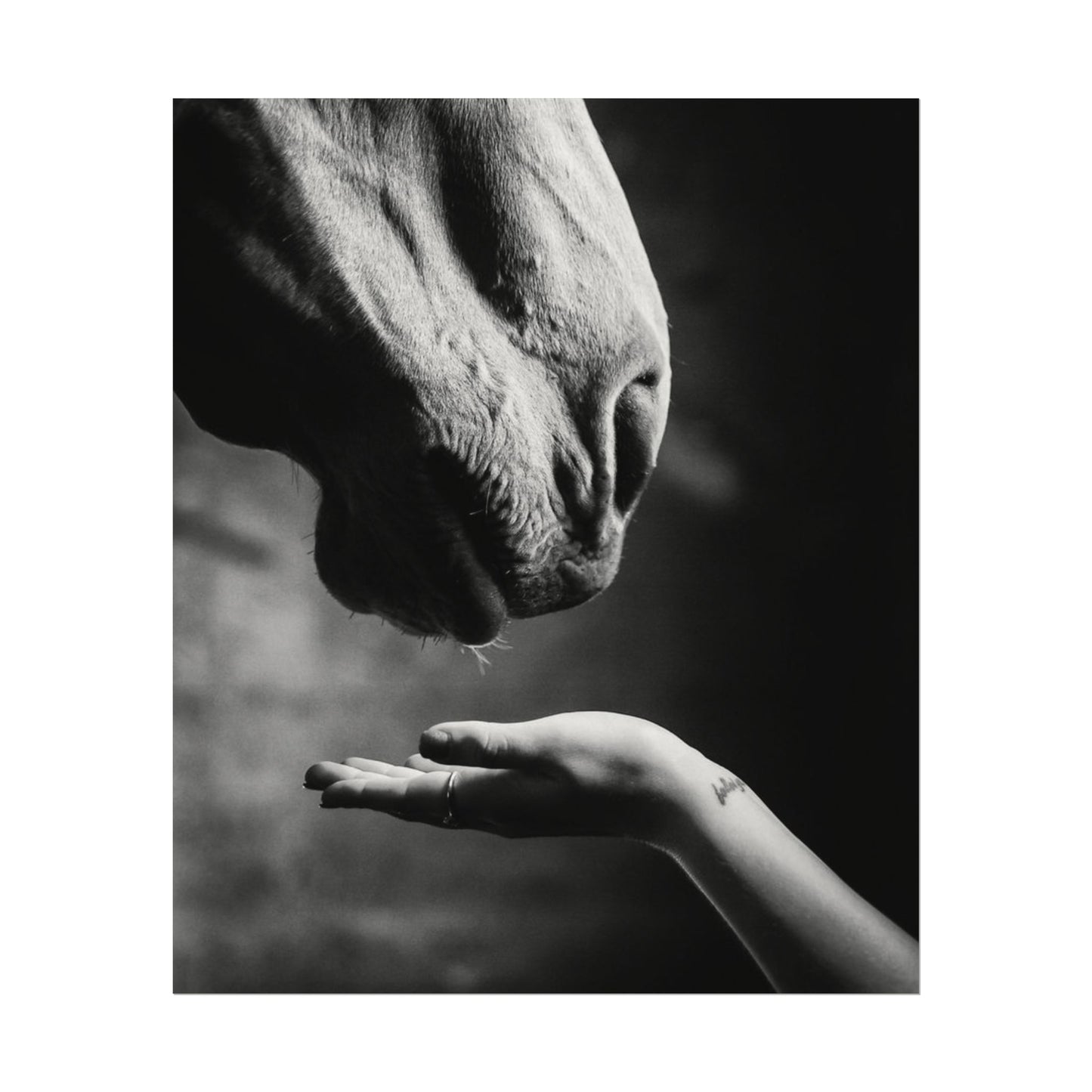 Whisper of Trust— The Unspoken Bond Textured Watercolor Matte Posters