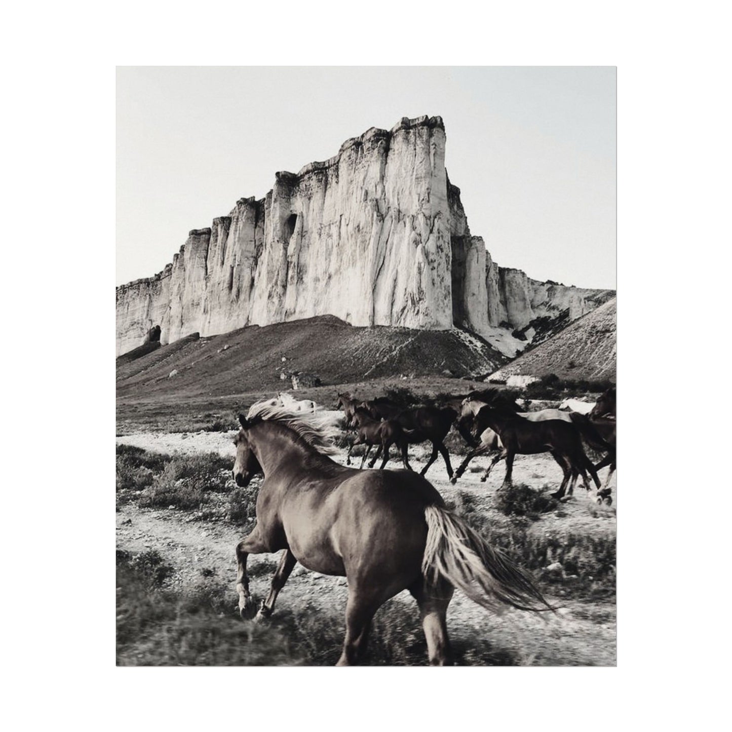 Untamed Spirit– Western Textured Watercolor Matte Posters