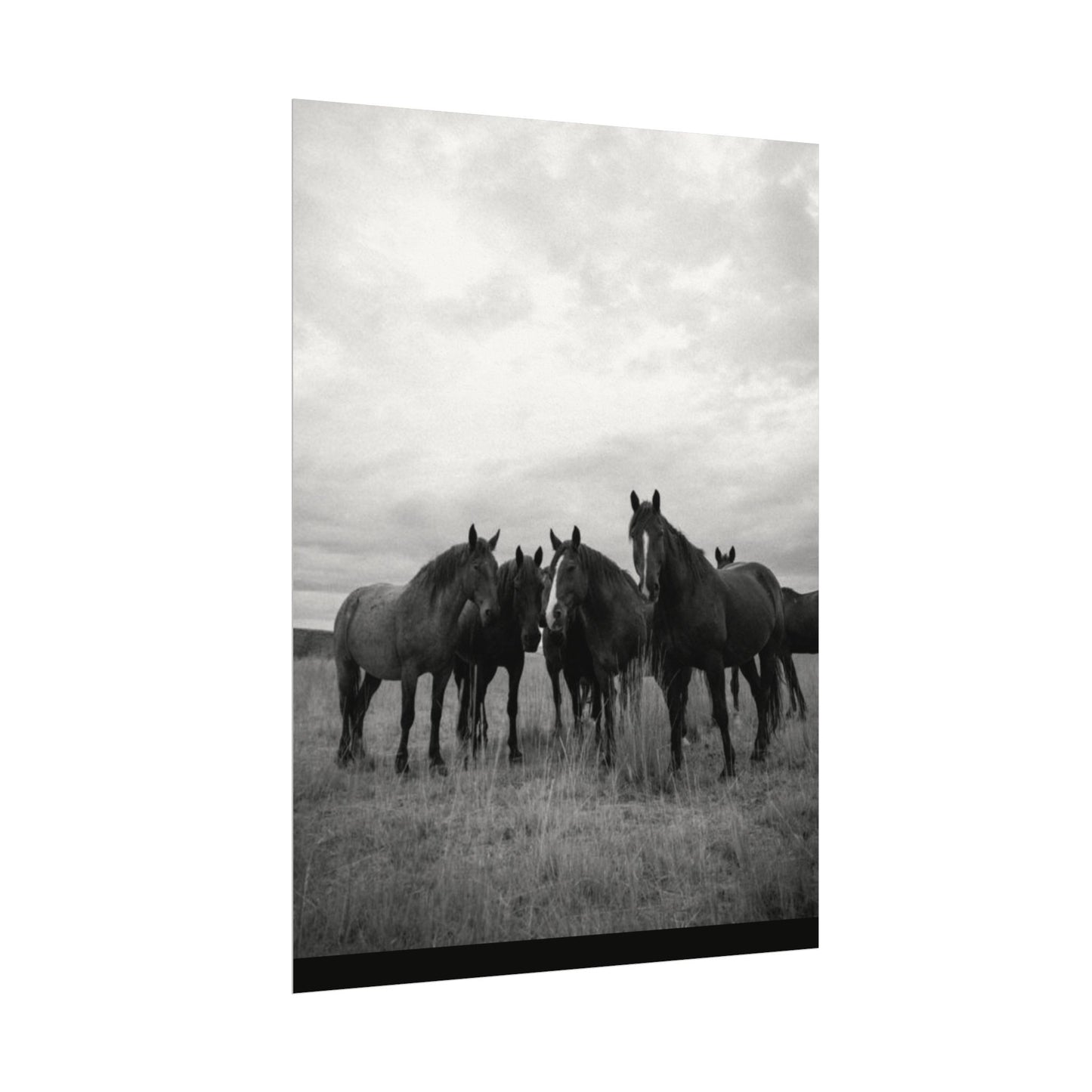 Unity In Numbers – Western Textured Watercolor Matte Posters