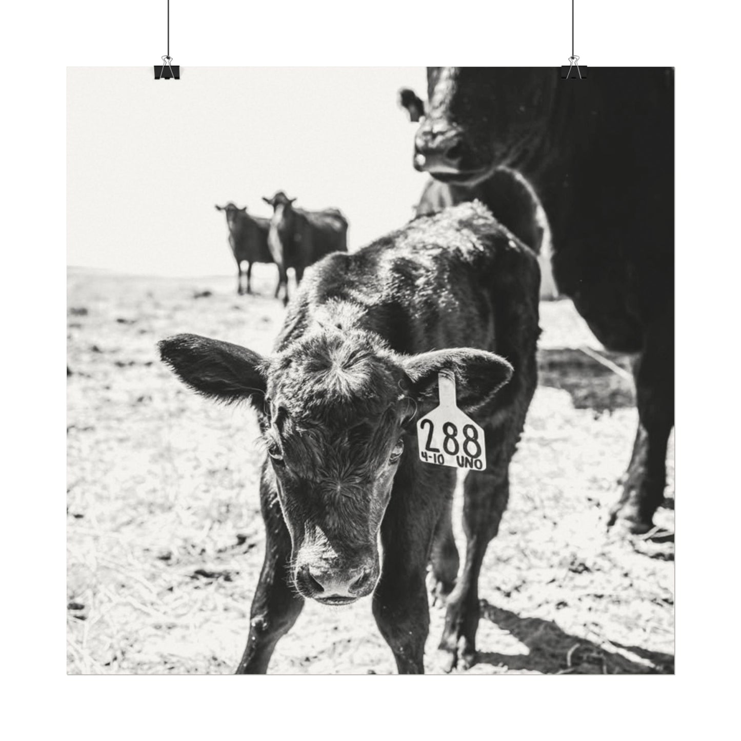 The Standing Legacy – Western Textured Watercolor Matte Posters