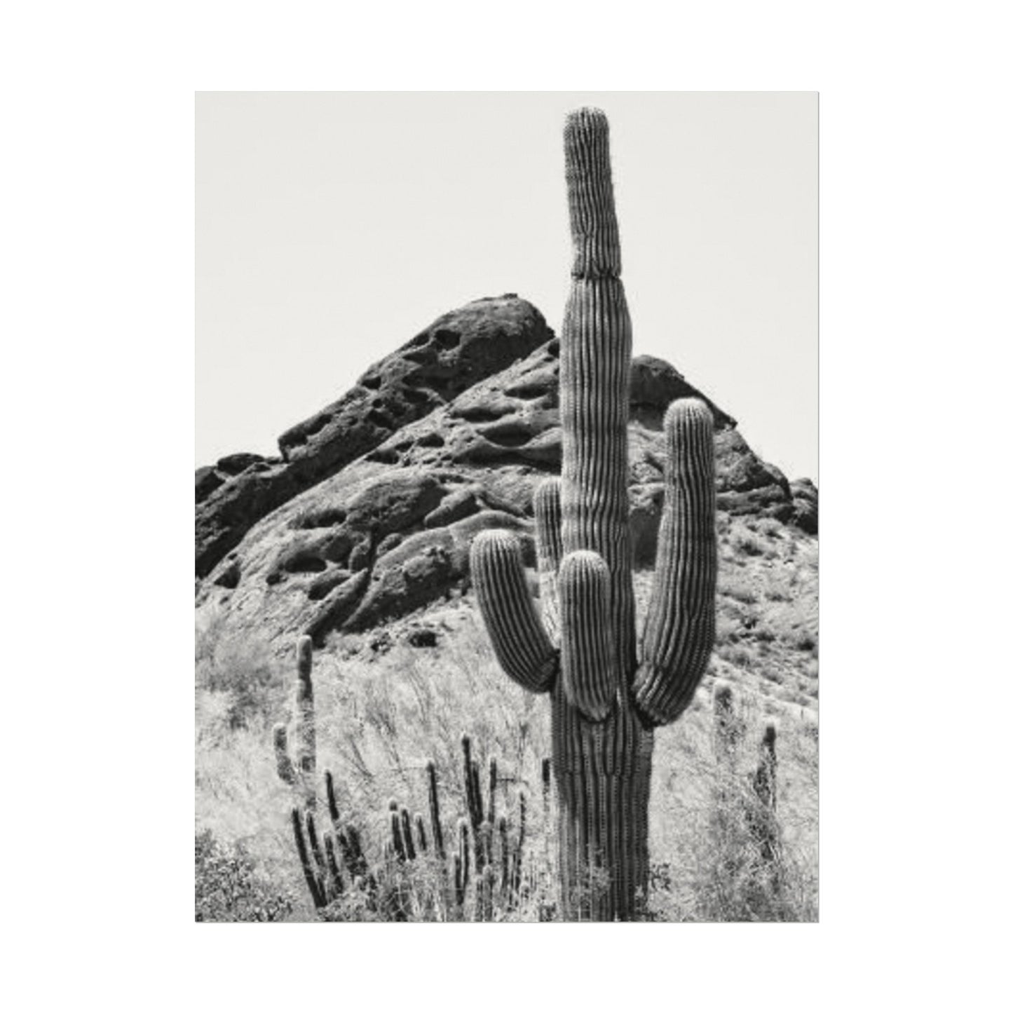 Reach For The Sky – Western Textured Watercolor Matte Posters