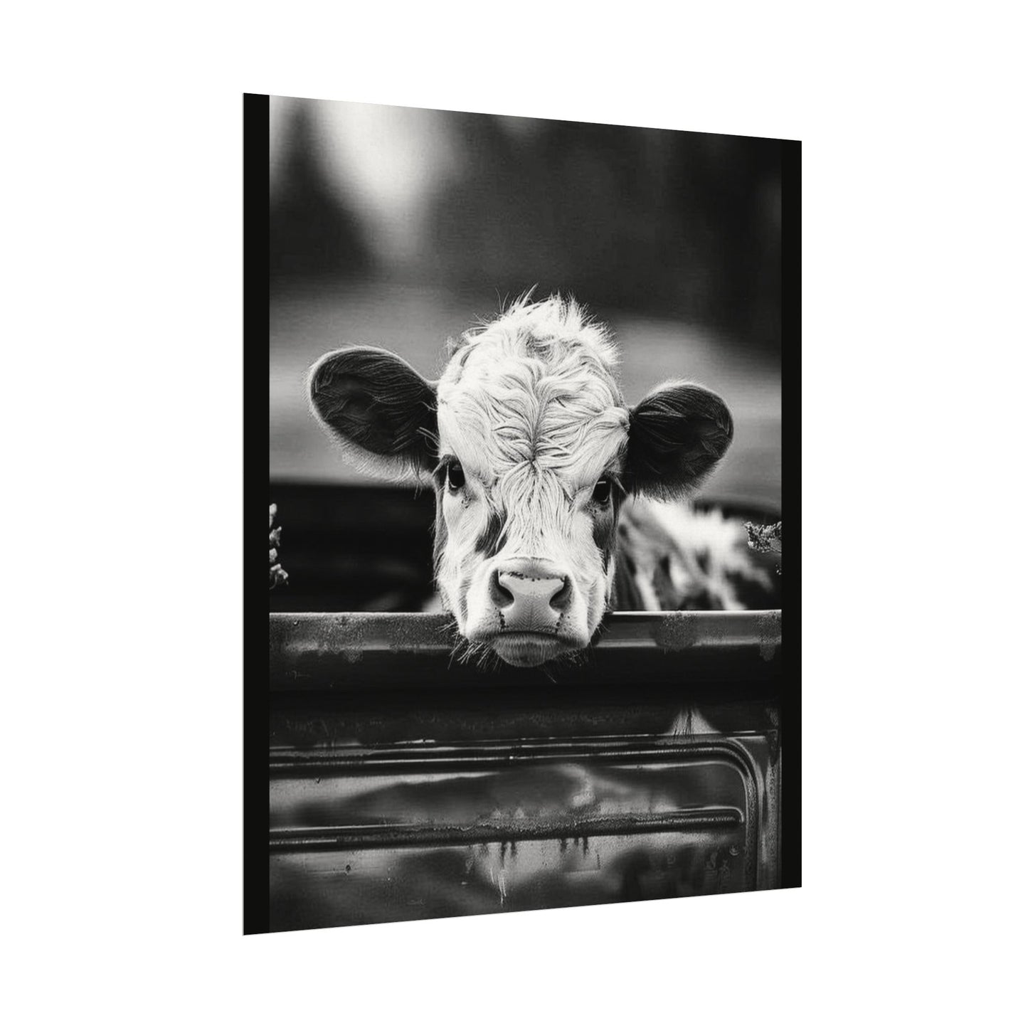Back Seat Bovine – Western Textured Watercolor Matte Posters