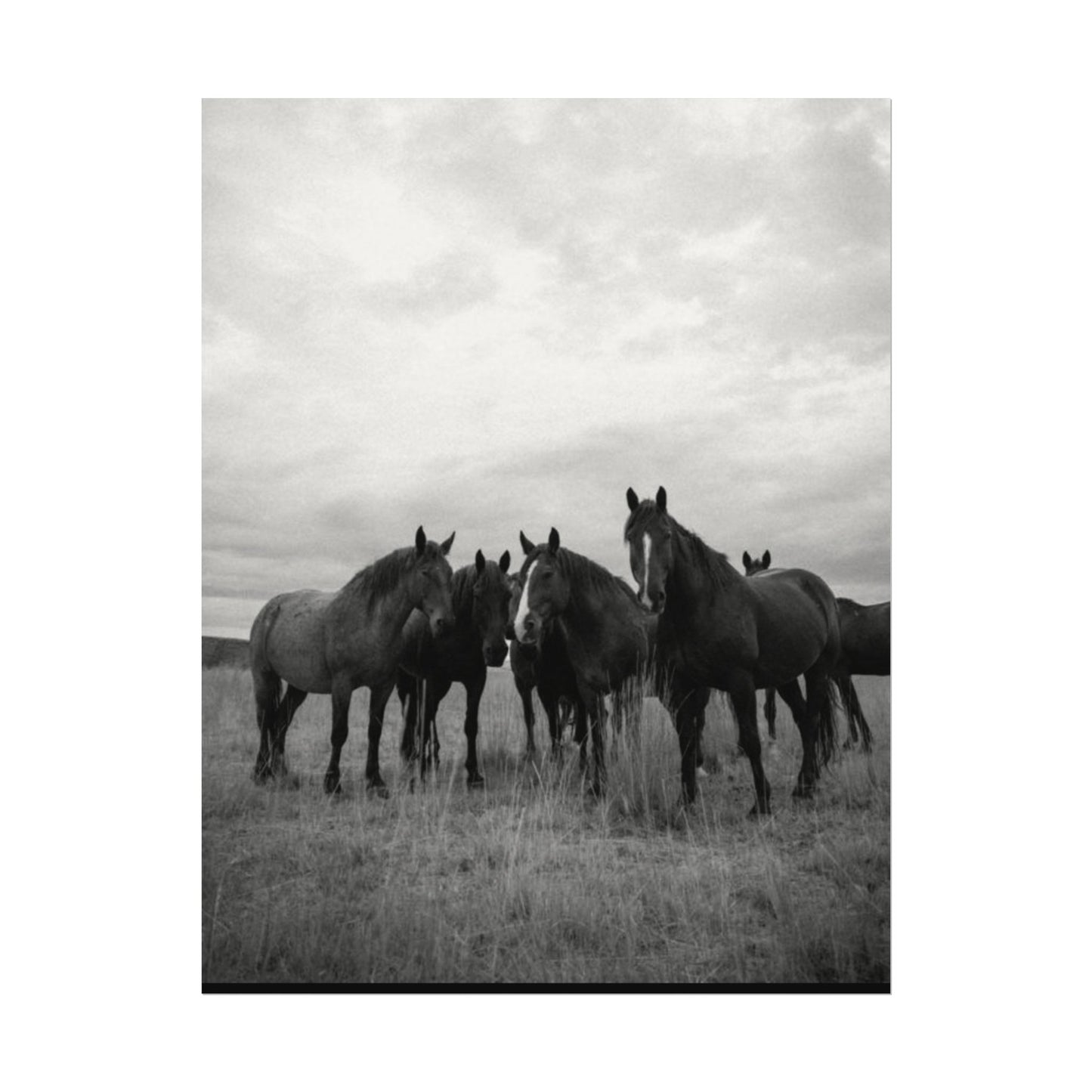 Unity In Numbers – Western Textured Watercolor Matte Posters