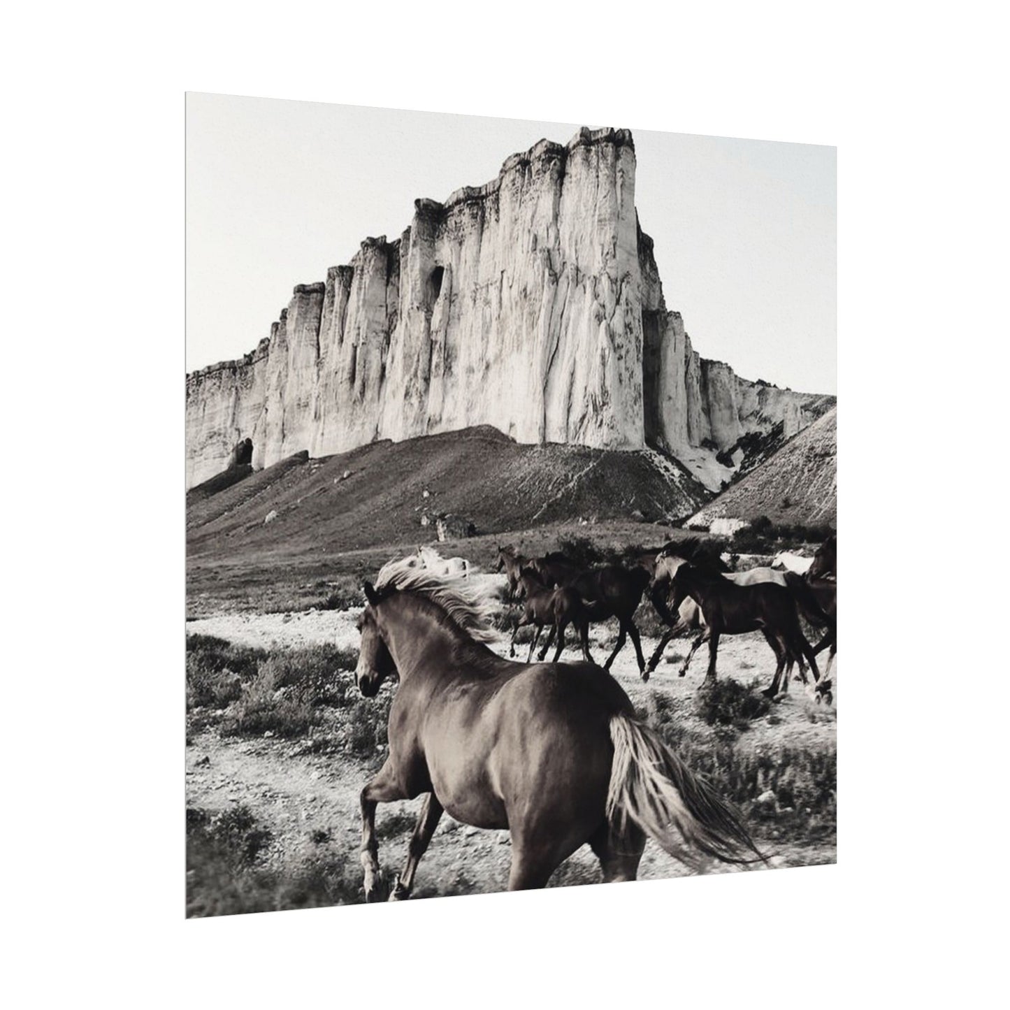 Untamed Spirit– Western Textured Watercolor Matte Posters