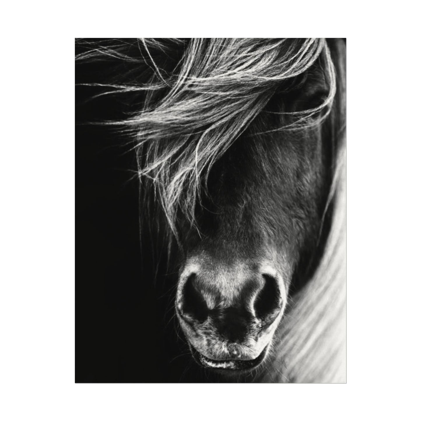 Wild Winds – Western Textured Watercolor Matte Posters