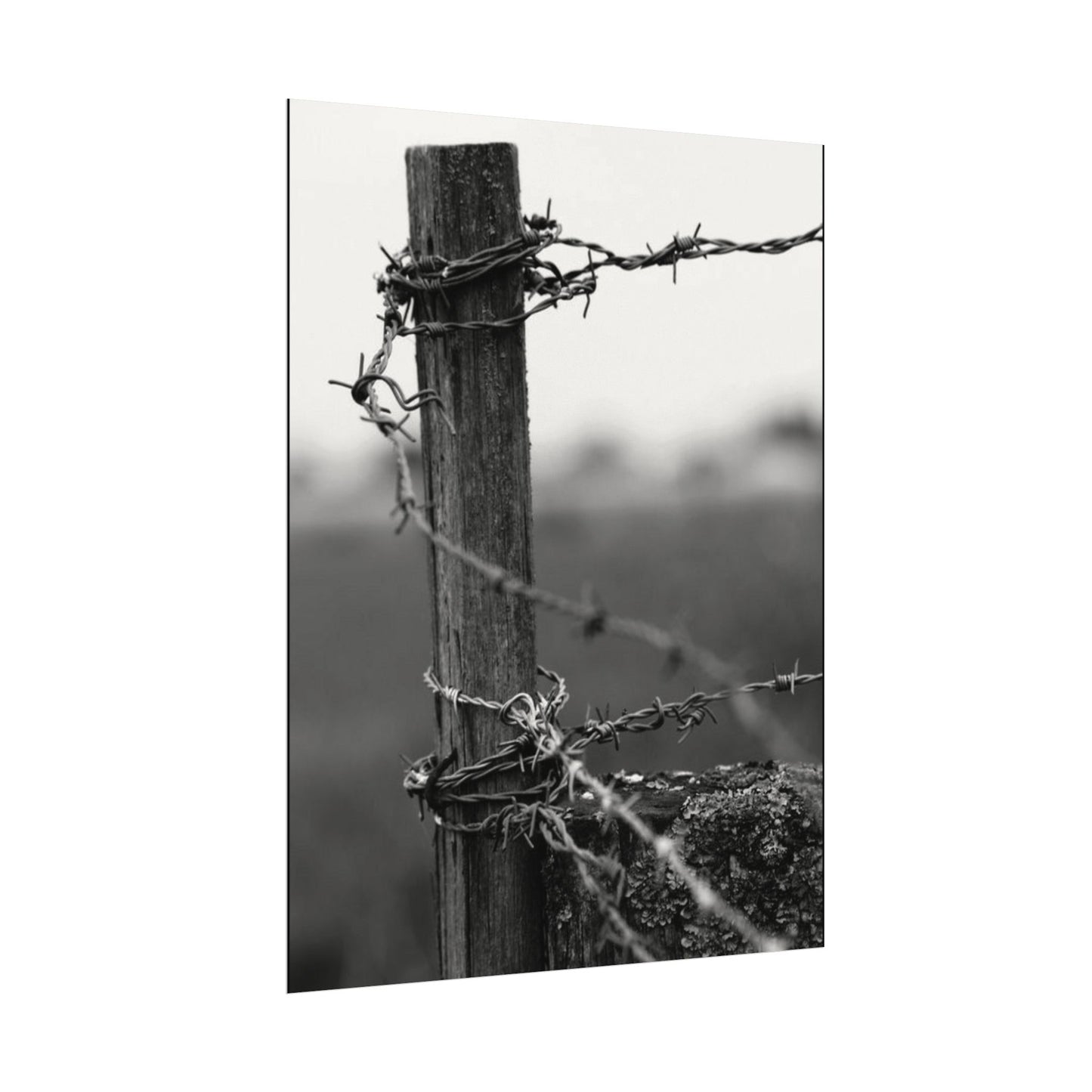 Tough As Nails – Western Textured Watercolor Matte Posters