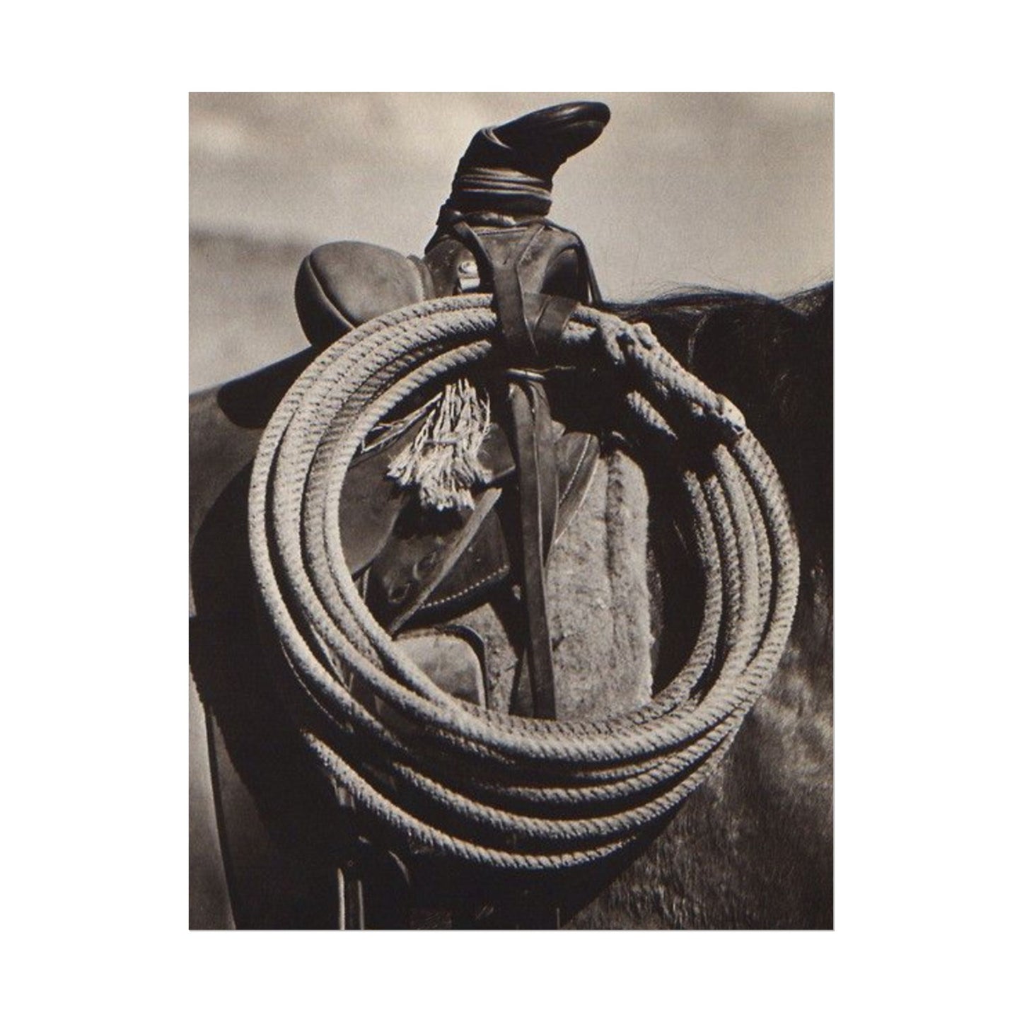 Rope & Leather – Western Textured Watercolor Matte Posters