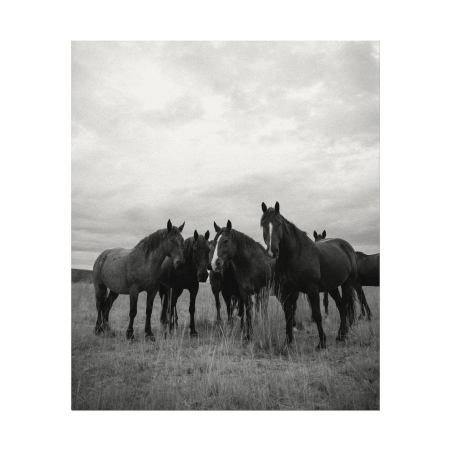 Unity In Numbers – Western Textured Watercolor Matte Posters