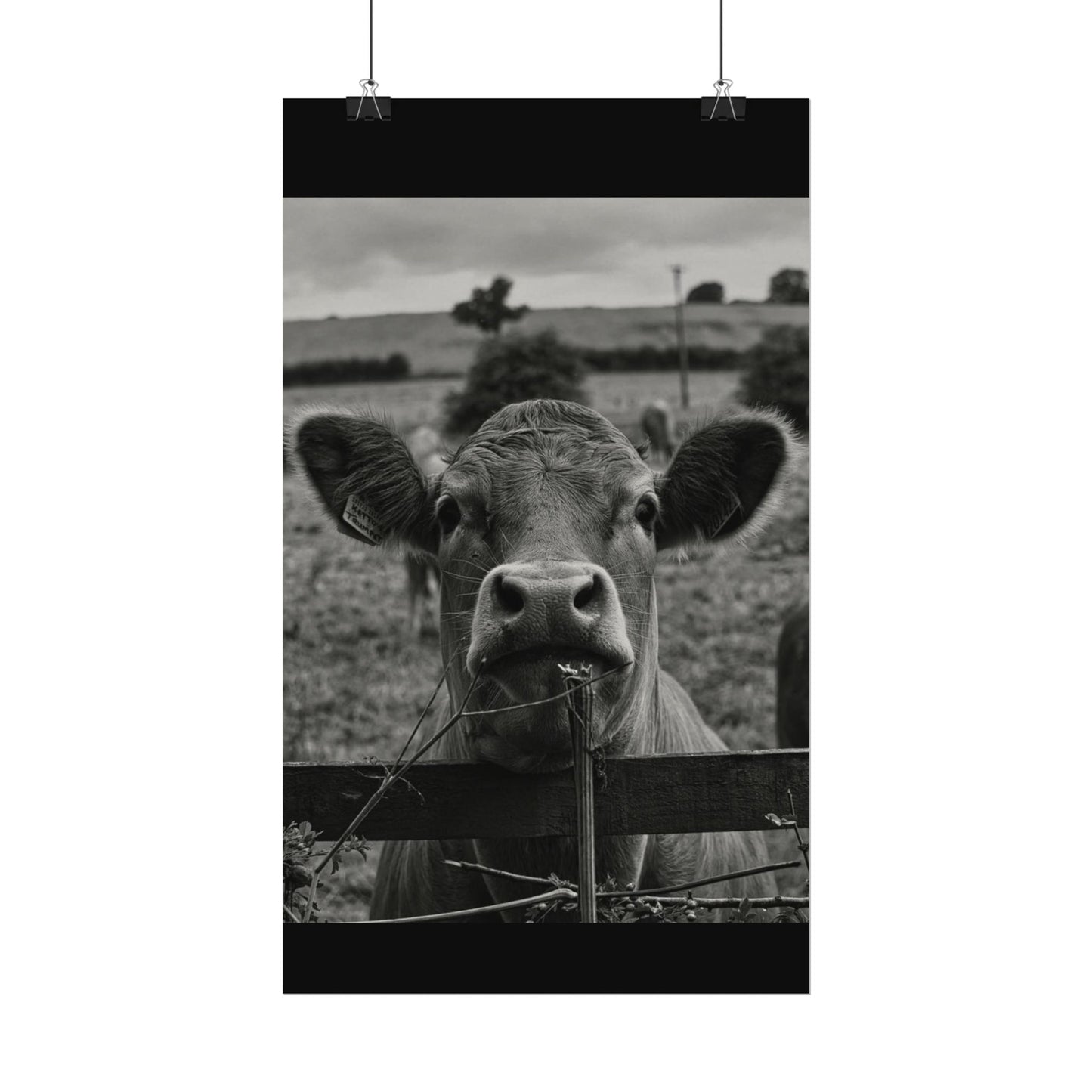 Rise & Shine – Western Textured Watercolor Matte Posters