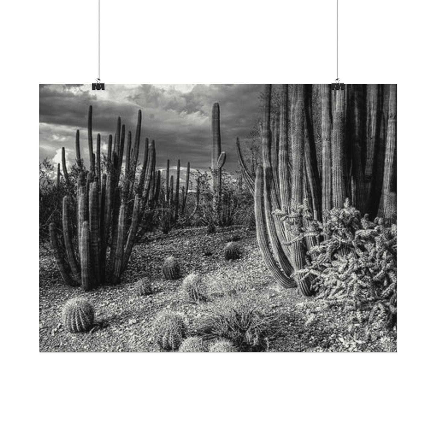 Desert Wastelands – Western Textured Watercolor Matte Posters