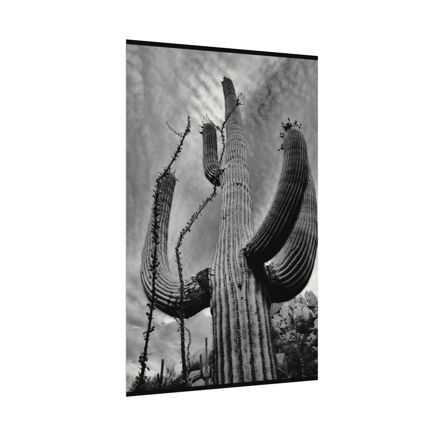 Desert Heights – Western Textured Watercolor Matte Posters