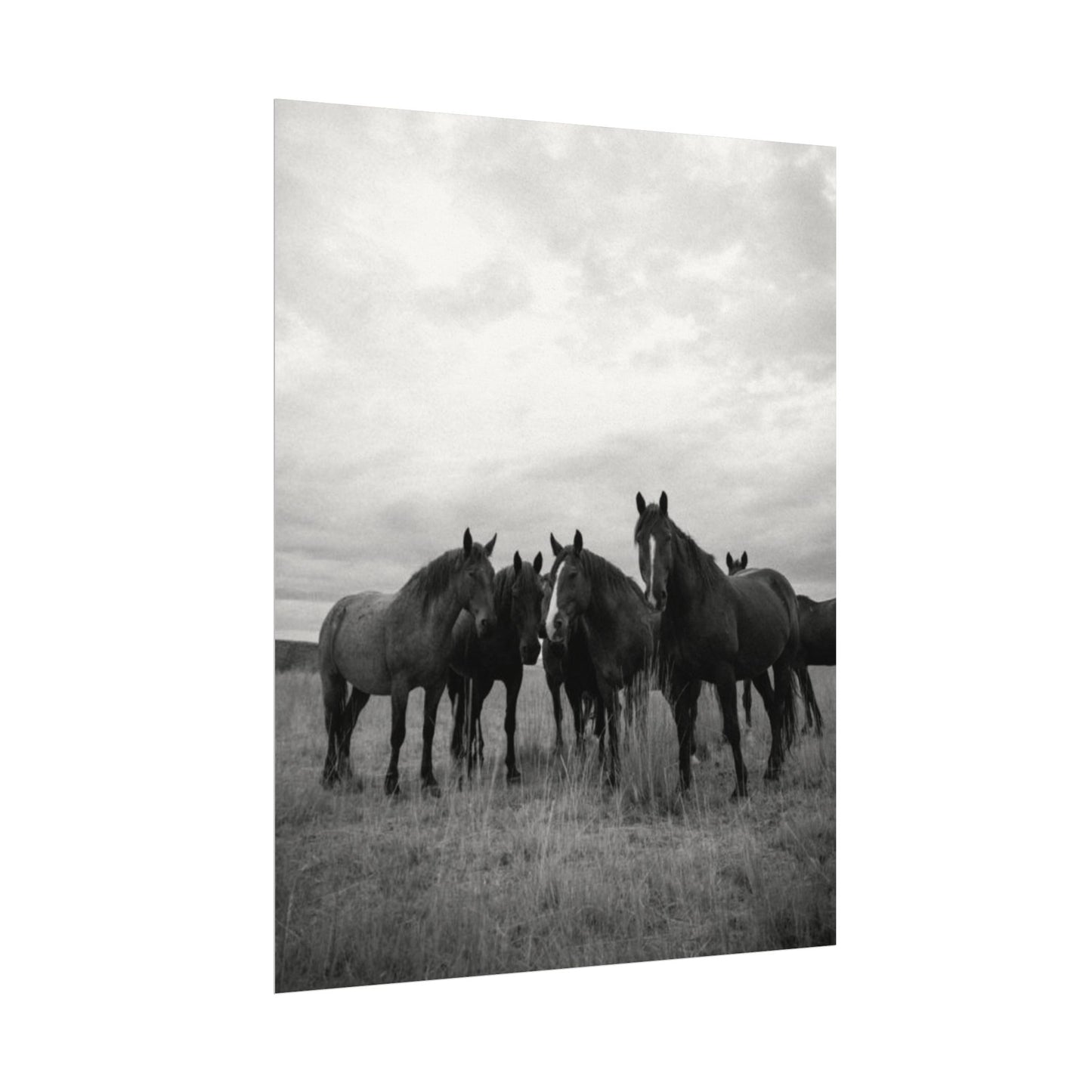 Unity In Numbers – Western Textured Watercolor Matte Posters