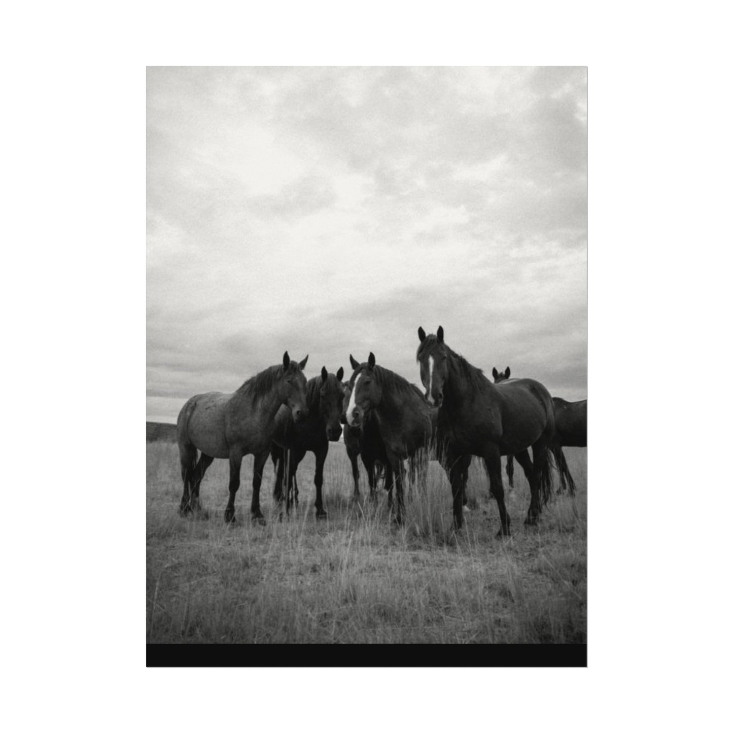 Unity In Numbers – Western Textured Watercolor Matte Posters