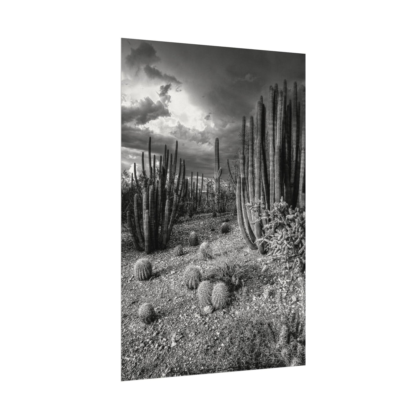 Desert Wastelands – Western Textured Watercolor Matte Posters