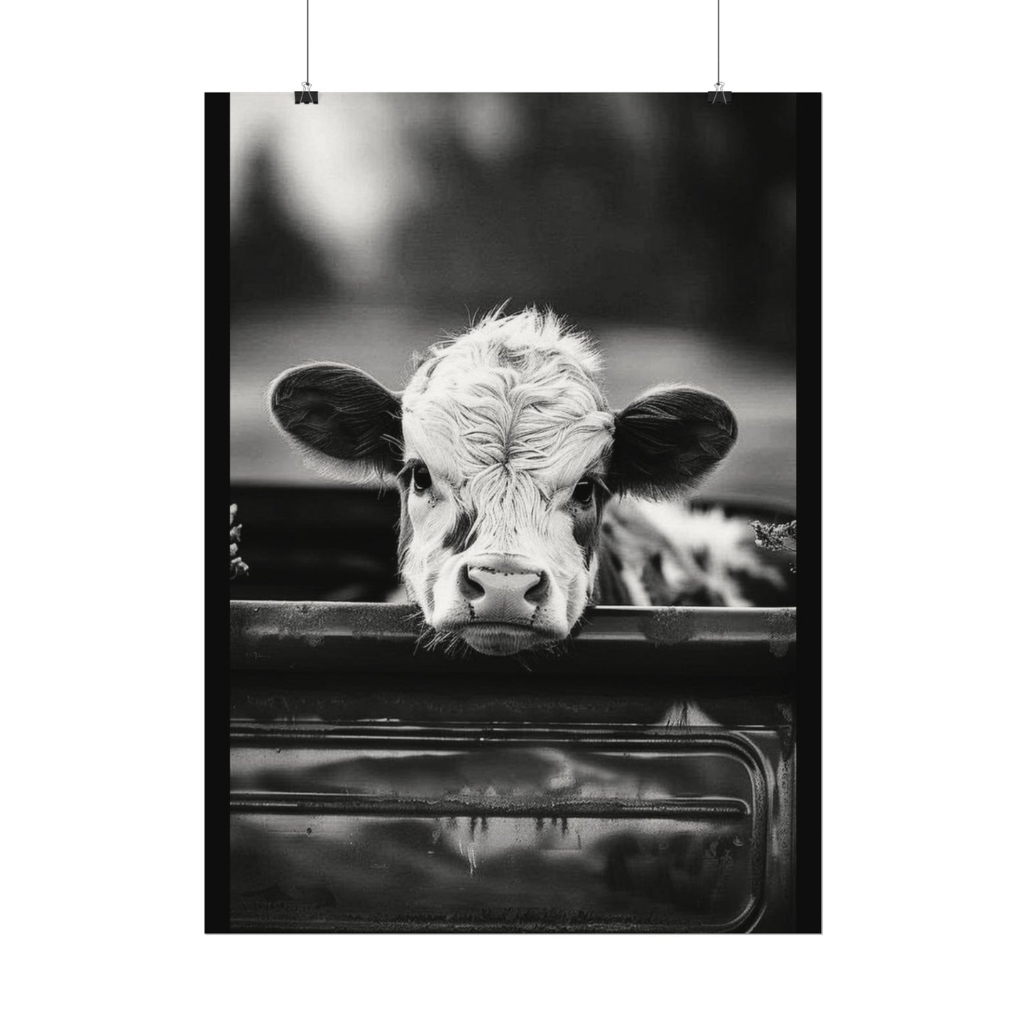 Back Seat Bovine – Western Textured Watercolor Matte Posters