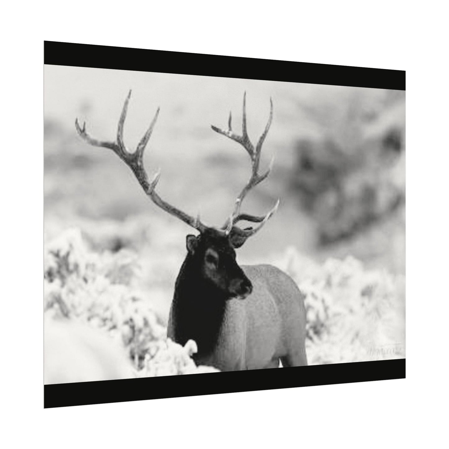 Majesty Of The North– Western Textured Watercolor Matte Posters