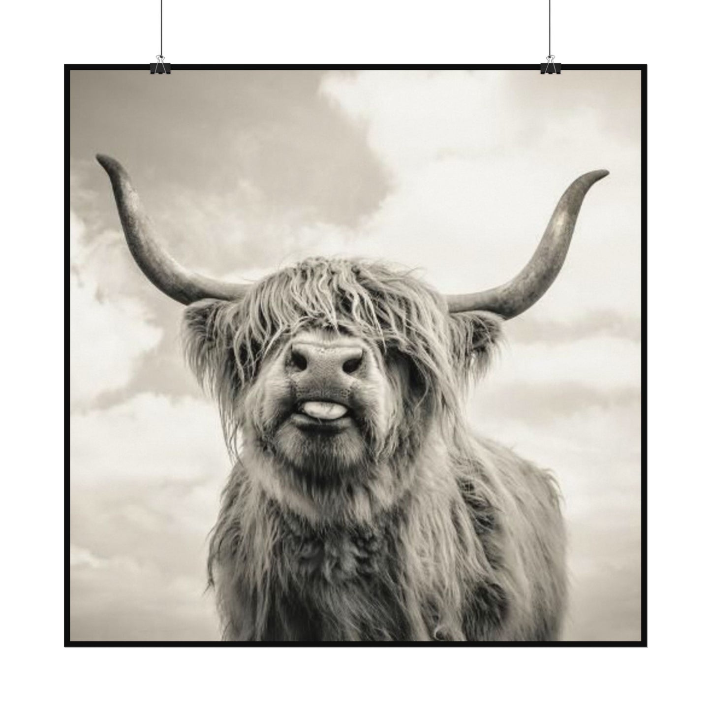 Highland Kisses – Western Textured Watercolor Matte Posters