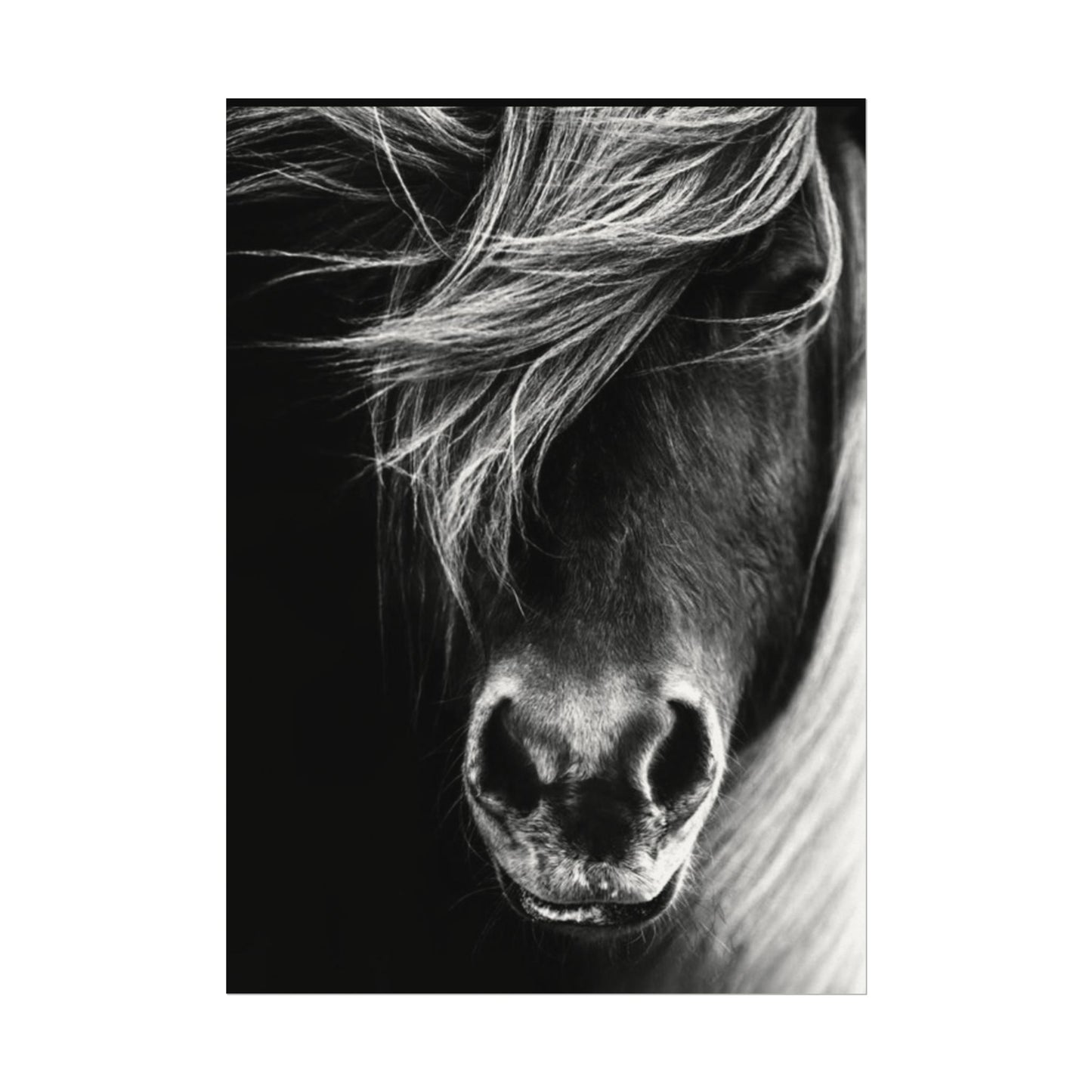 Wild Winds – Western Textured Watercolor Matte Posters