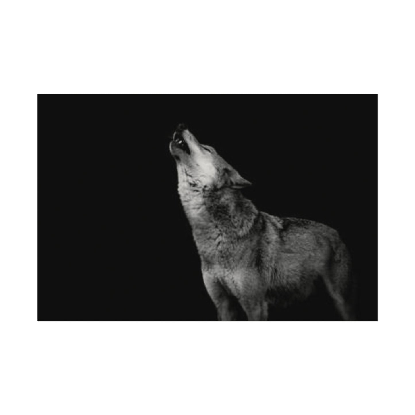 Howling At The Moon– Western Textured Watercolor Matte Posters
