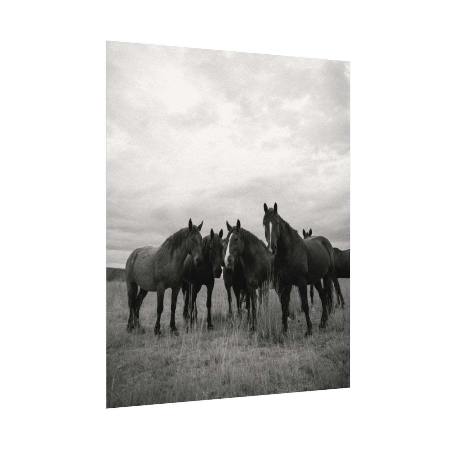 Unity In Numbers – Western Textured Watercolor Matte Posters