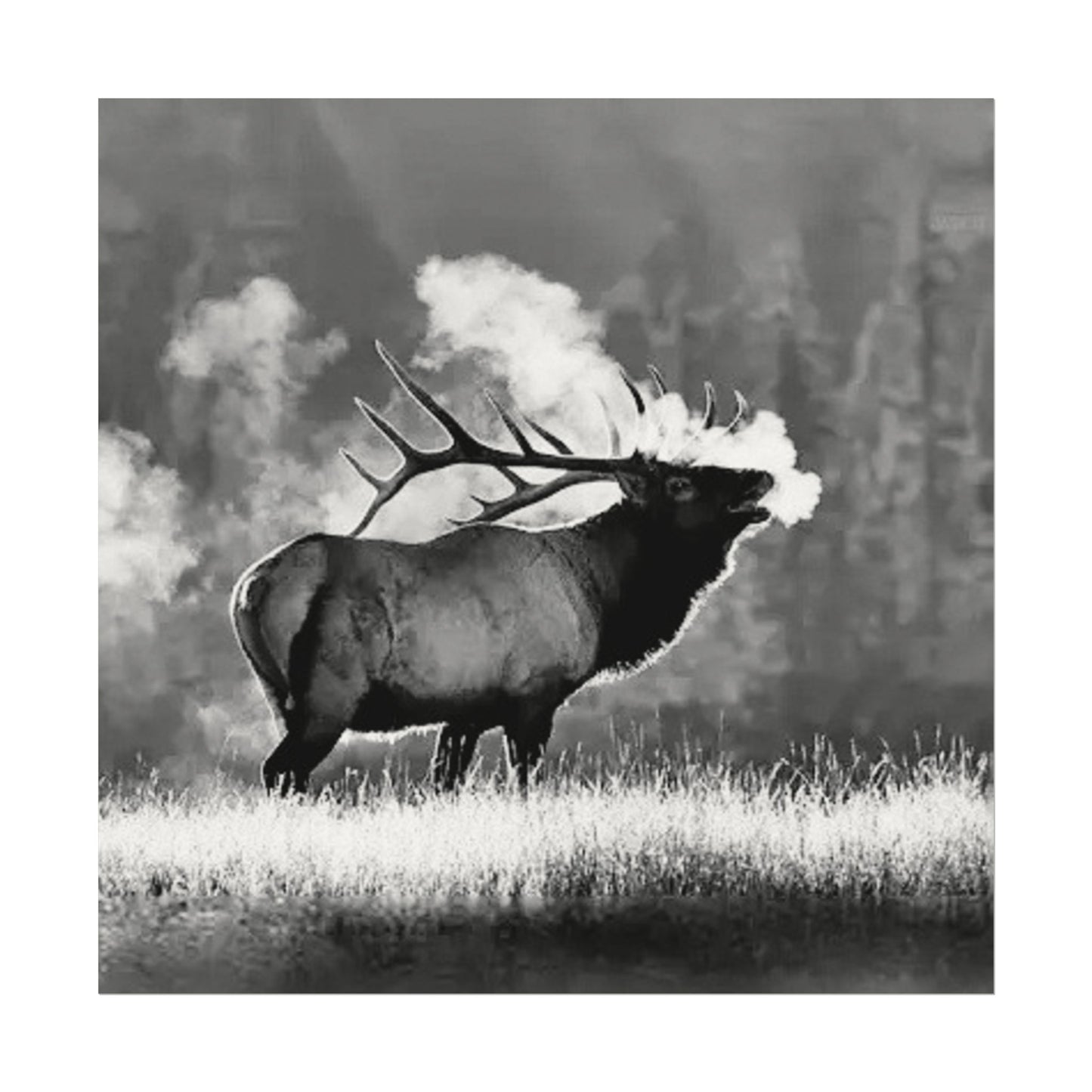 When Nature Calls– Western Textured Watercolor Matte Posters