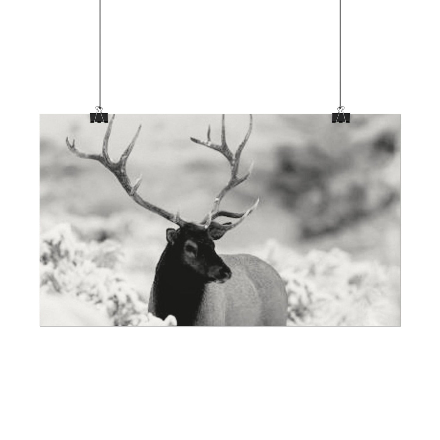 Majesty Of The North– Western Textured Watercolor Matte Posters