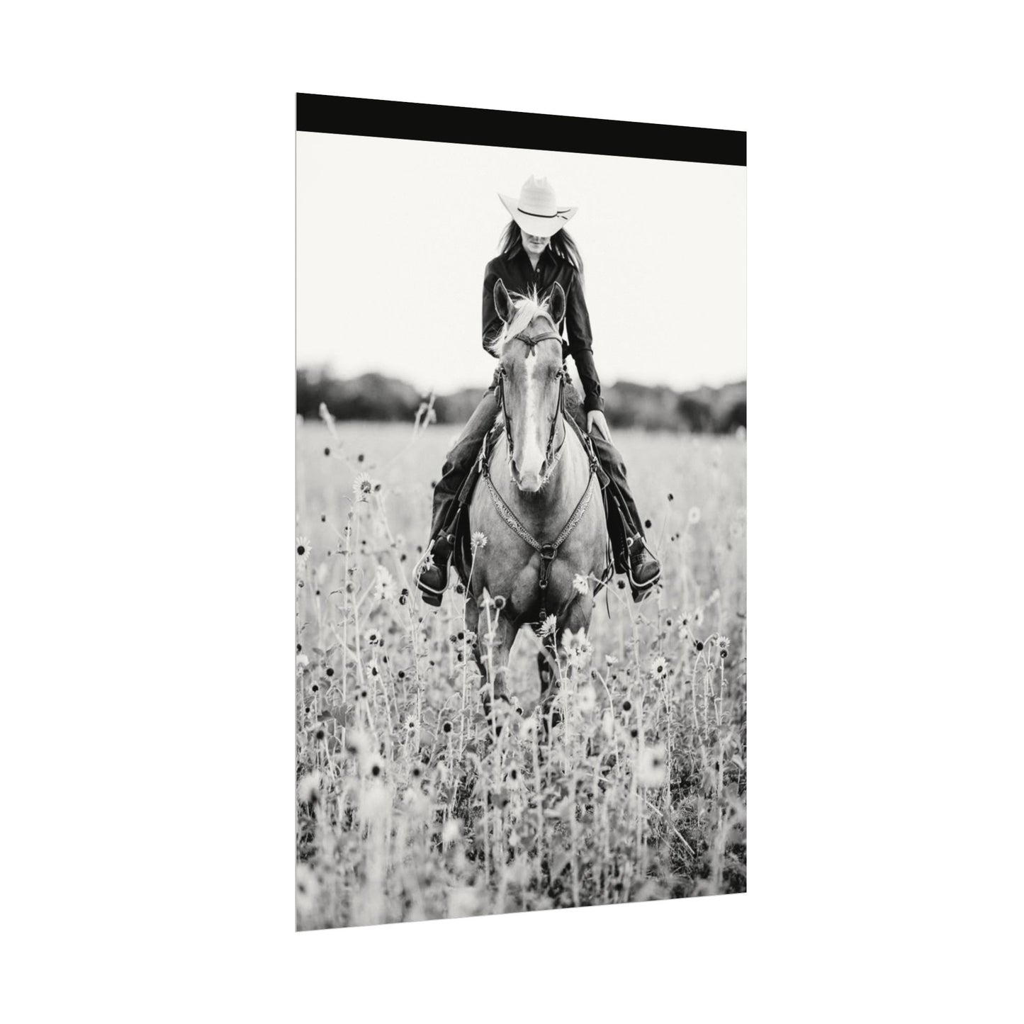 Summer Fields – Western Textured Watercolor Matte Posters