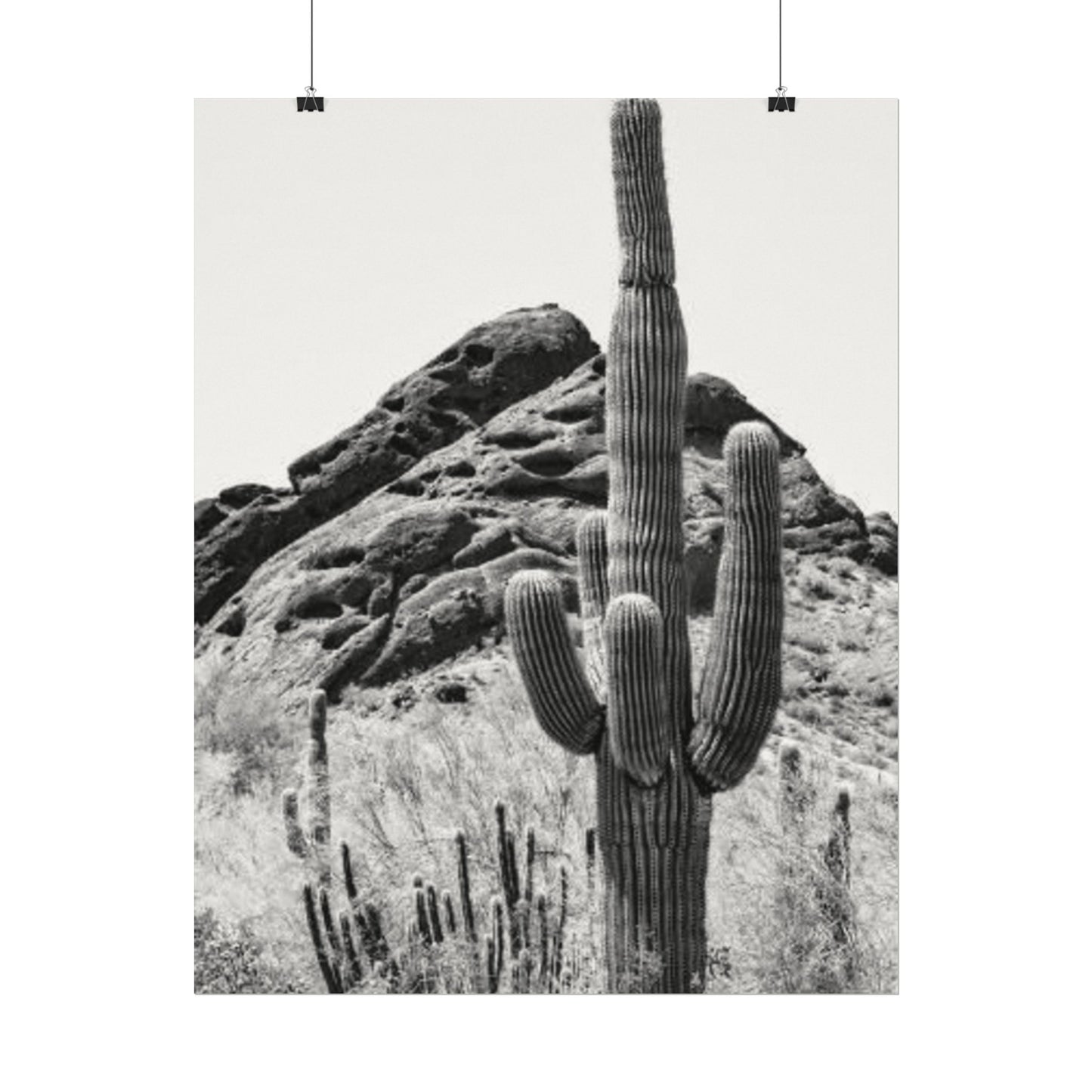 Reach For The Sky – Western Textured Watercolor Matte Posters