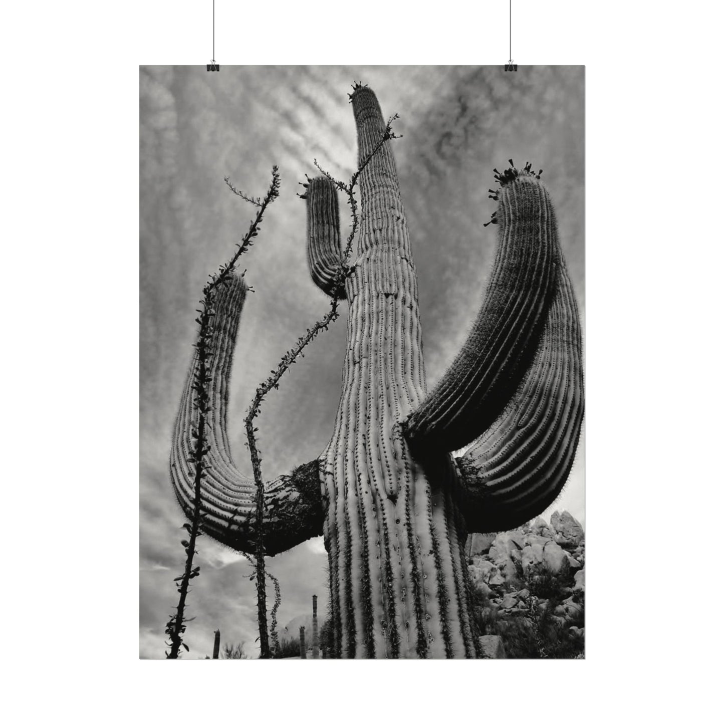 Desert Heights – Western Textured Watercolor Matte Posters