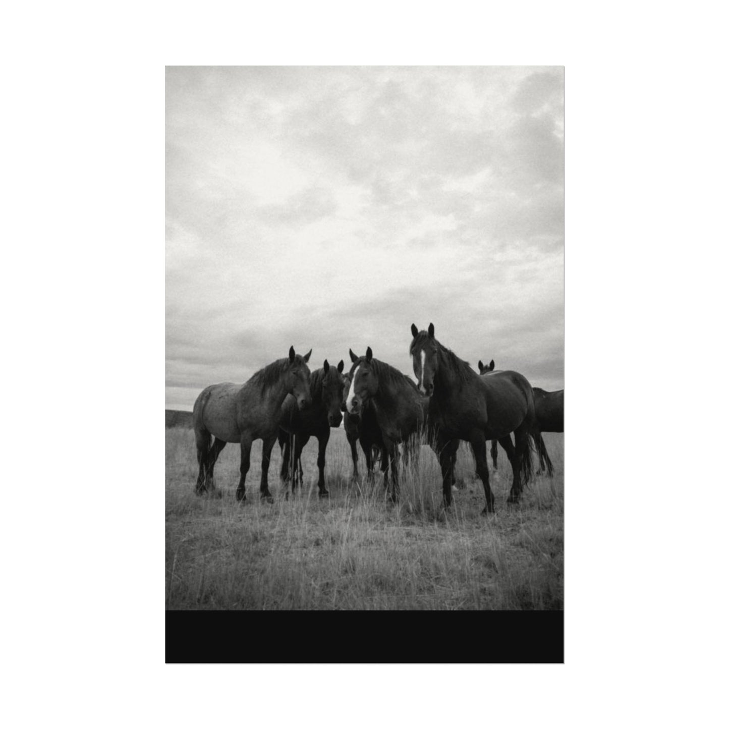 Unity In Numbers – Western Textured Watercolor Matte Posters