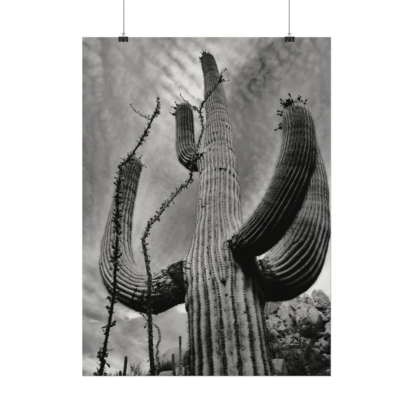 Desert Heights – Western Textured Watercolor Matte Posters