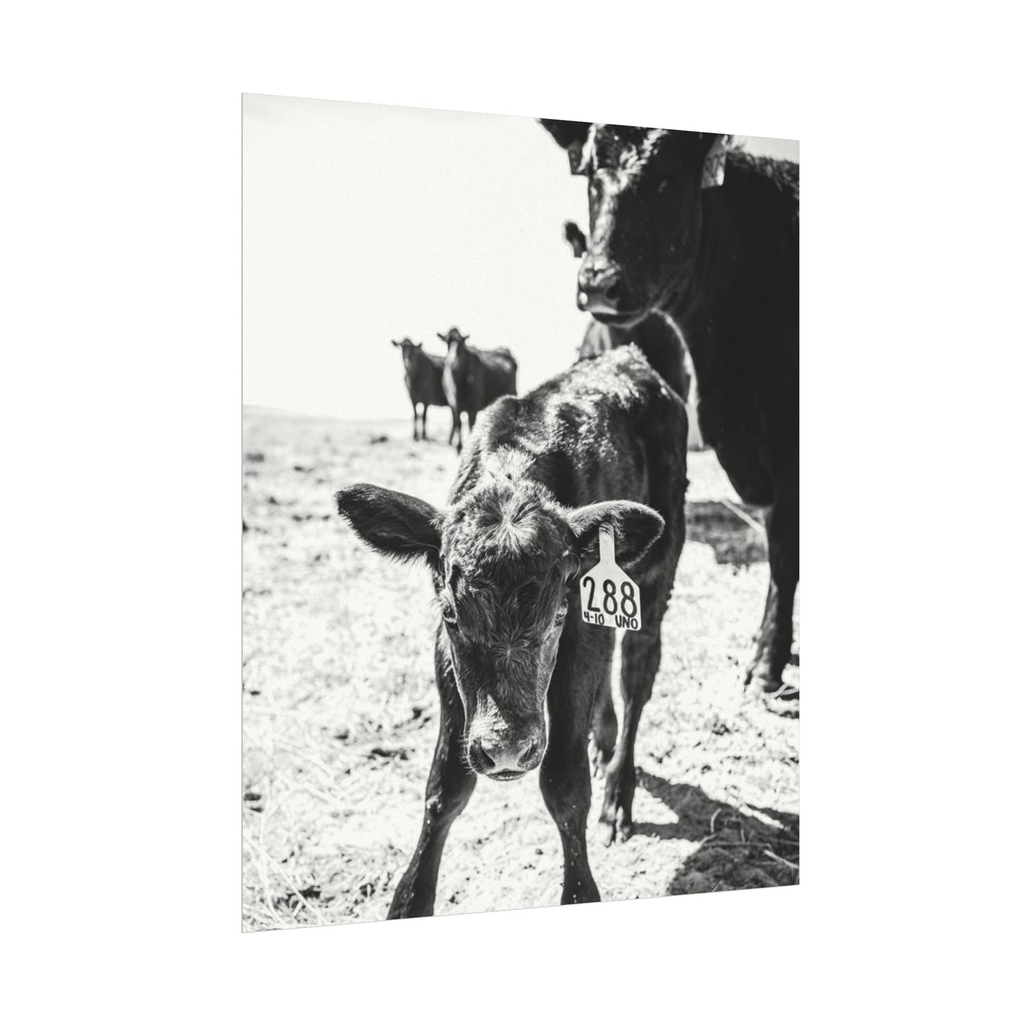 The Standing Legacy – Western Textured Watercolor Matte Posters