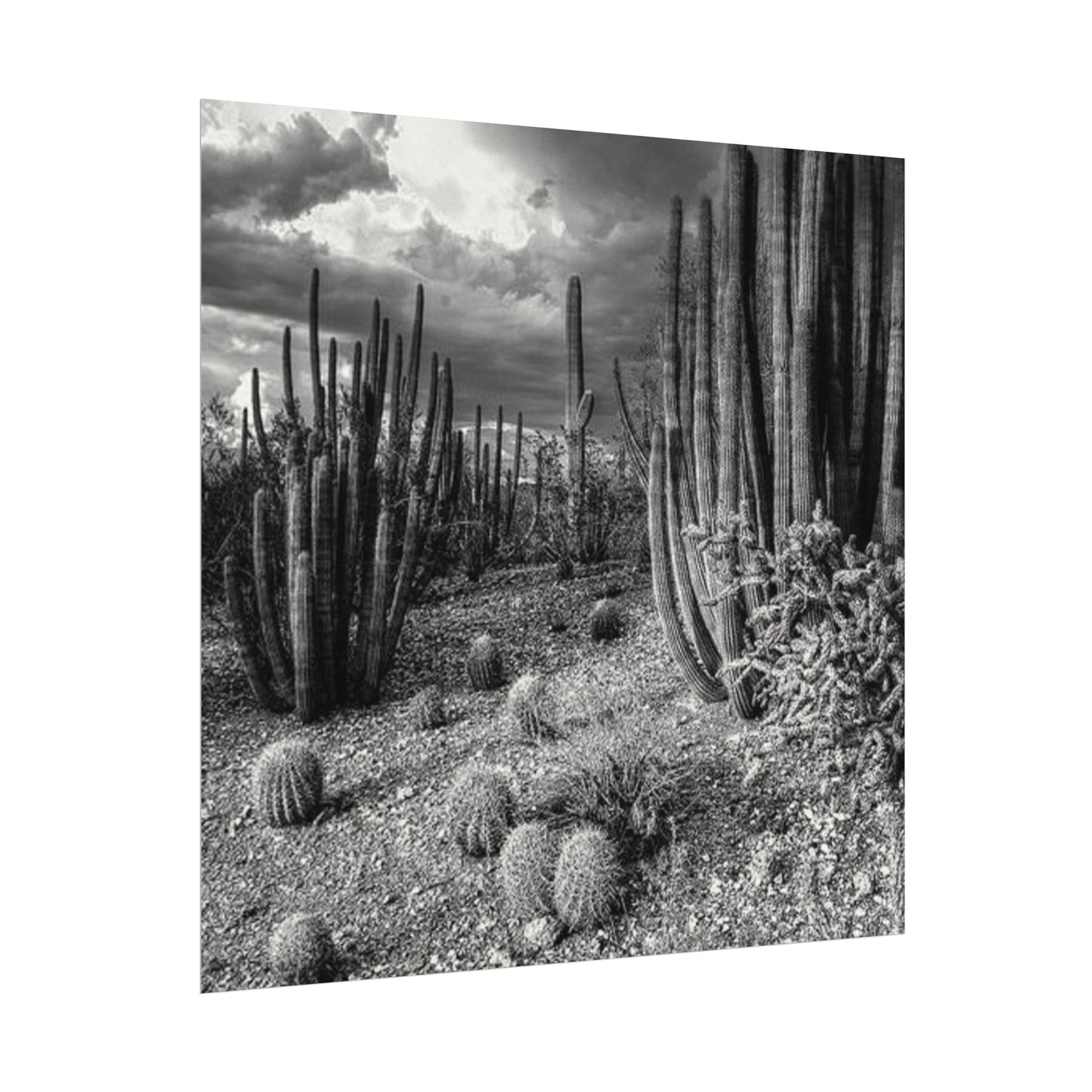 Desert Wastelands – Western Textured Watercolor Matte Posters