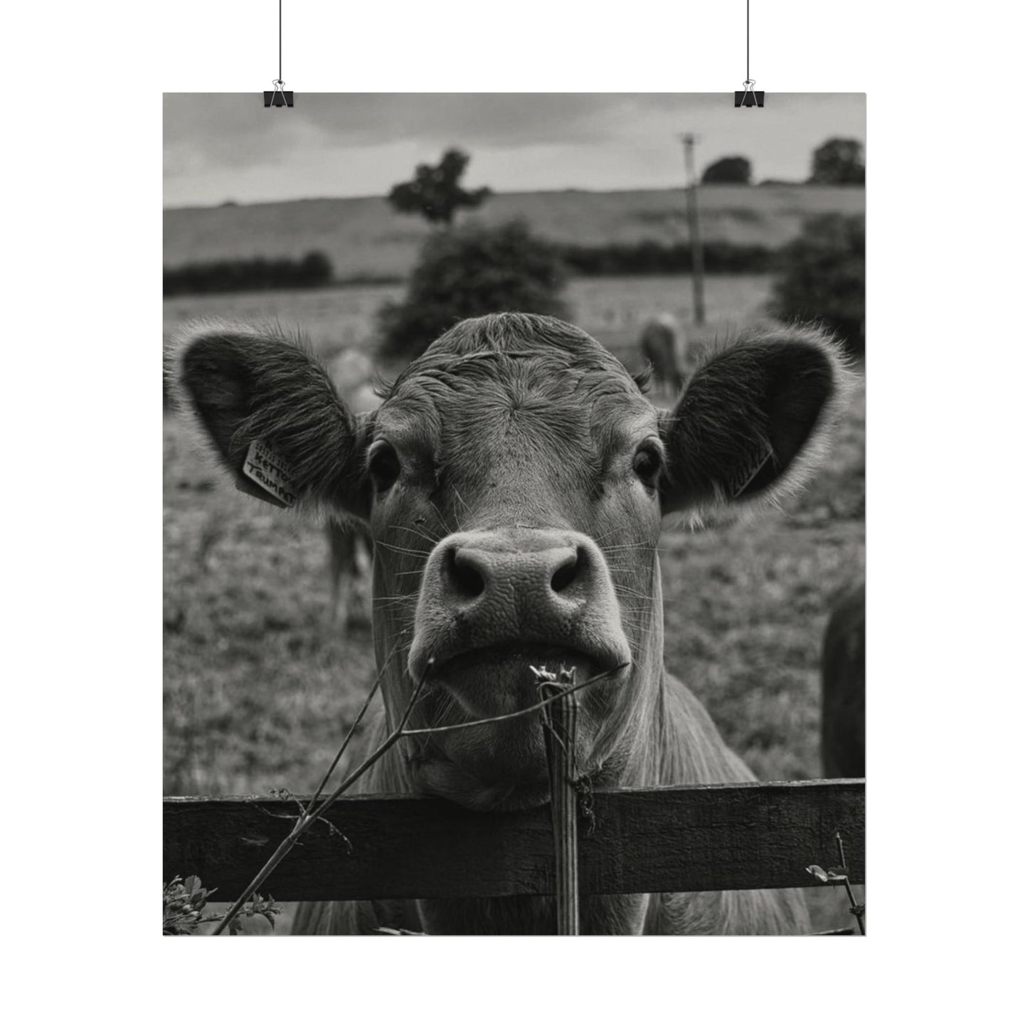 Rise & Shine – Western Textured Watercolor Matte Posters