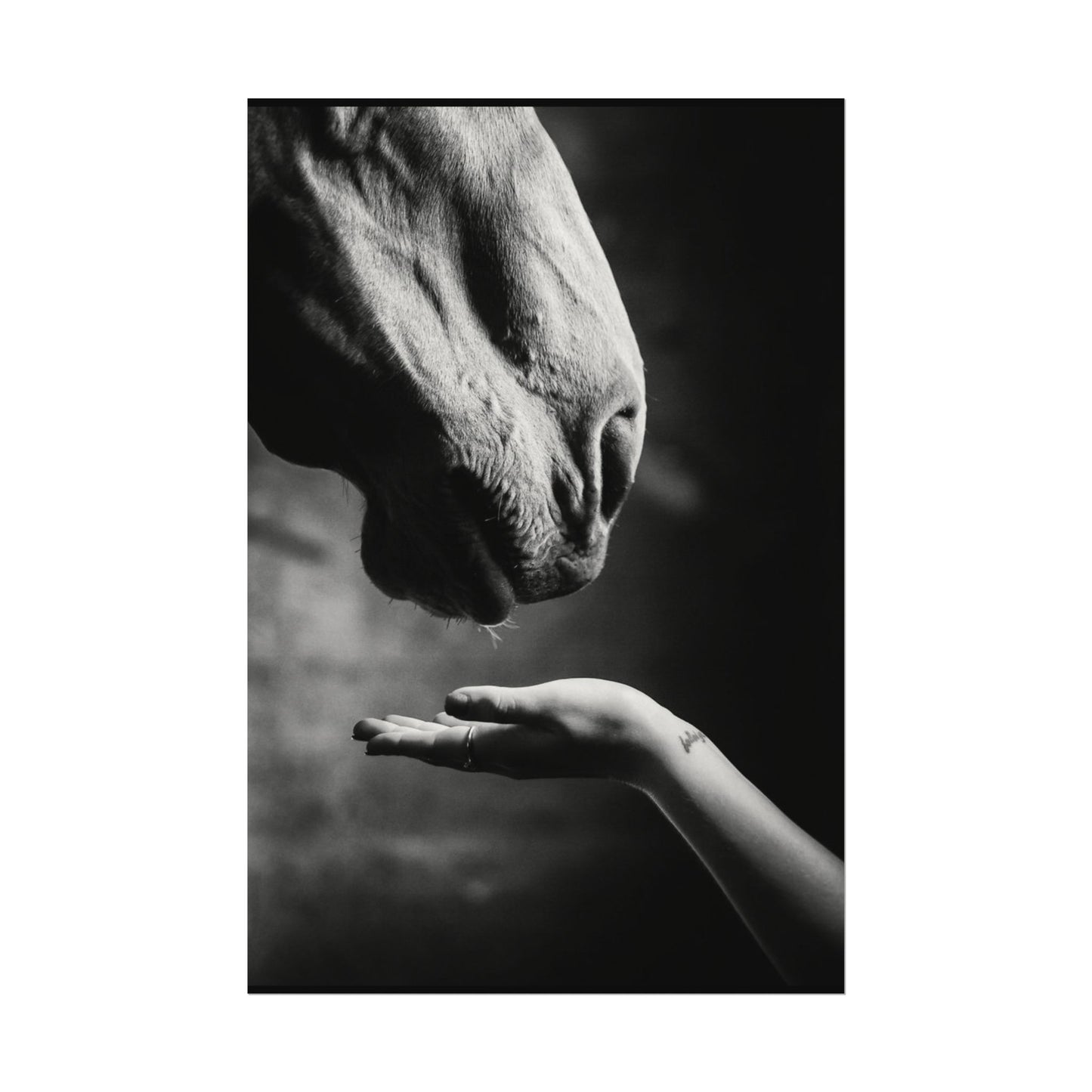 Whisper of Trust— The Unspoken Bond Textured Watercolor Matte Posters