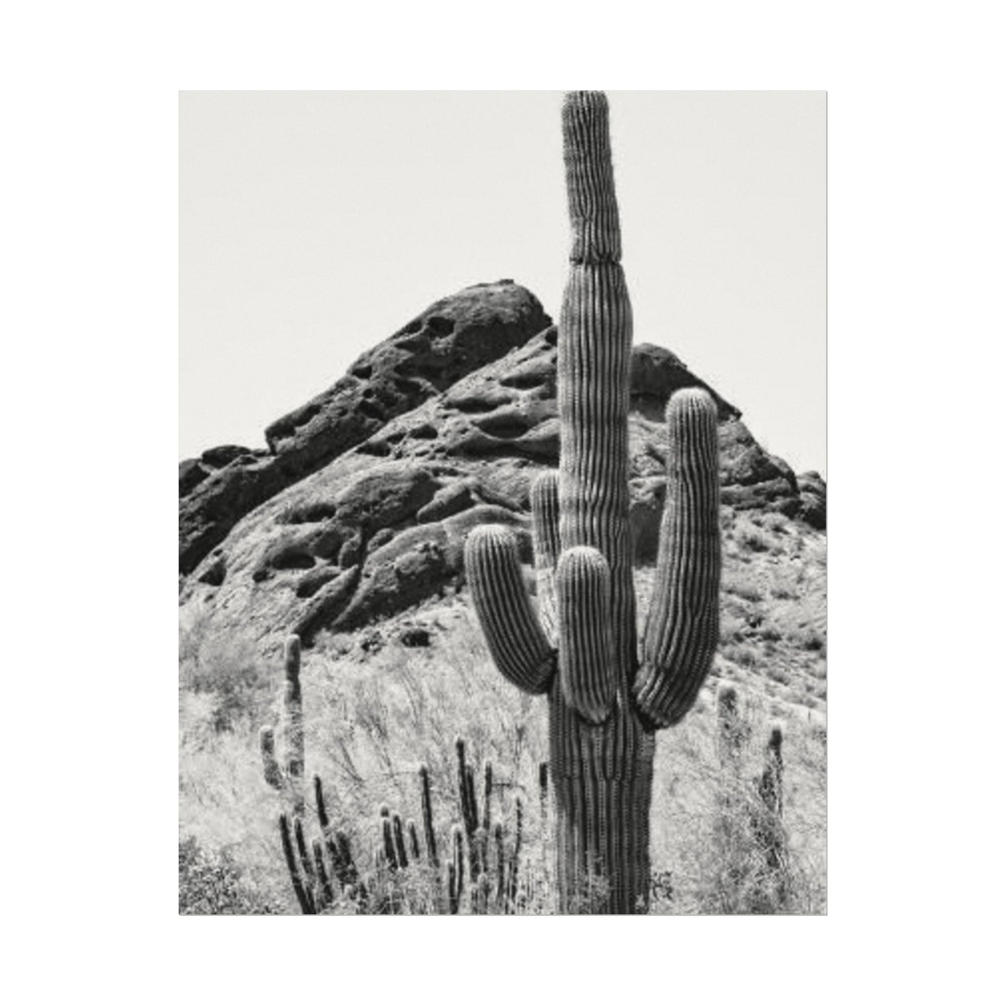 Reach For The Sky – Western Textured Watercolor Matte Posters