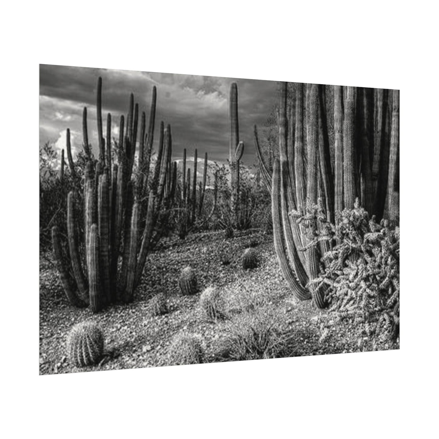 Desert Wastelands – Western Textured Watercolor Matte Posters