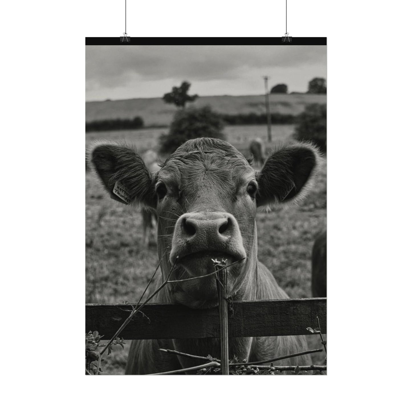 Rise & Shine – Western Textured Watercolor Matte Posters