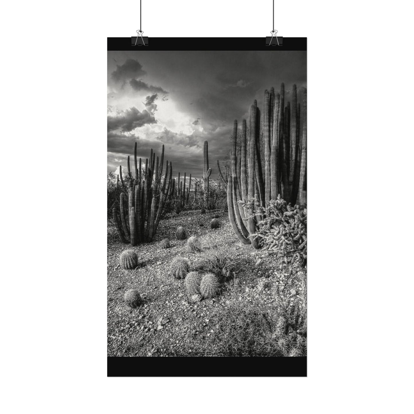 Desert Wastelands – Western Textured Watercolor Matte Posters