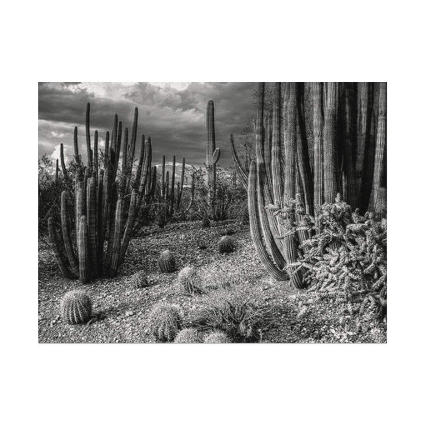 Desert Wastelands – Western Textured Watercolor Matte Posters